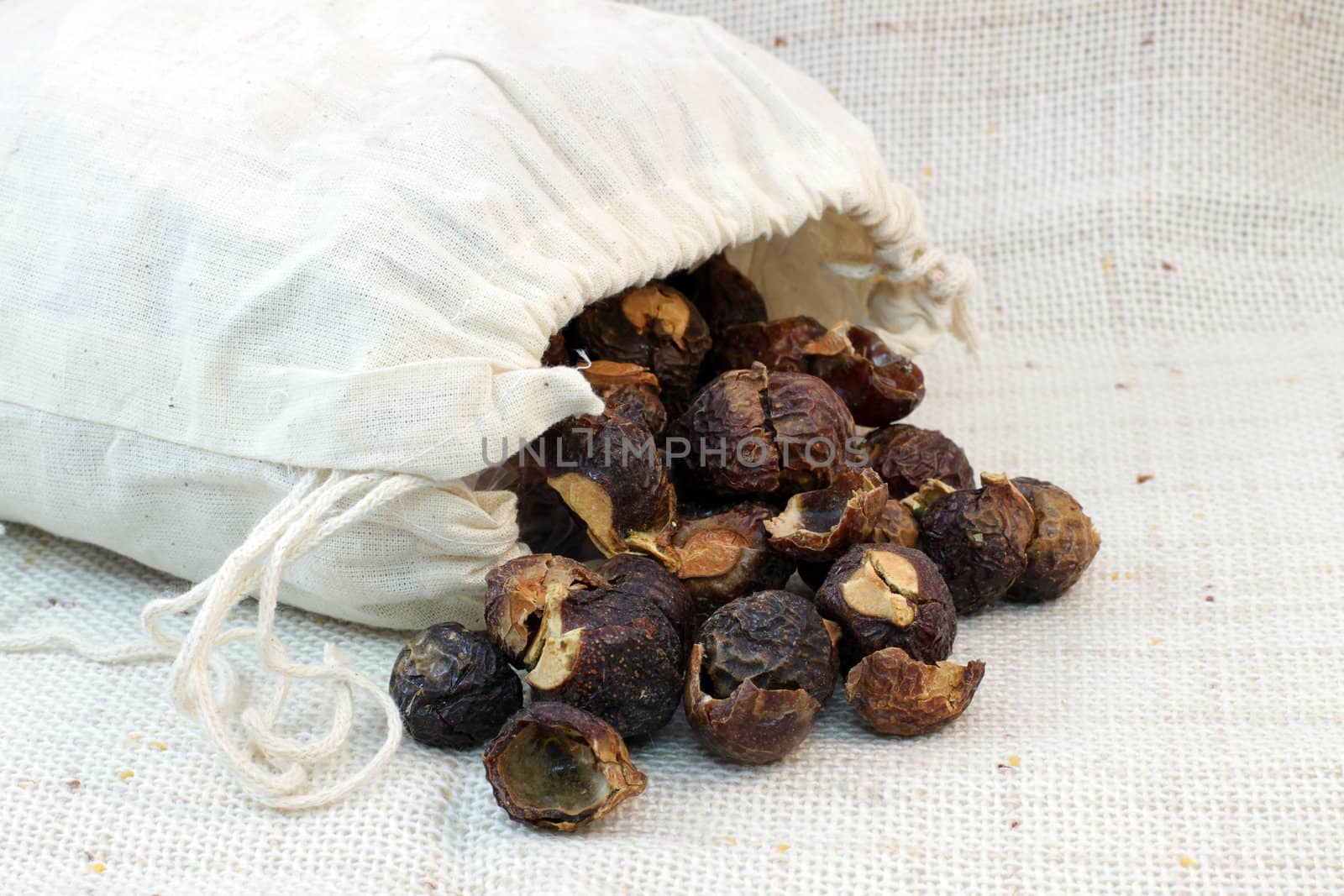 Soap (washing) nuts and the bag