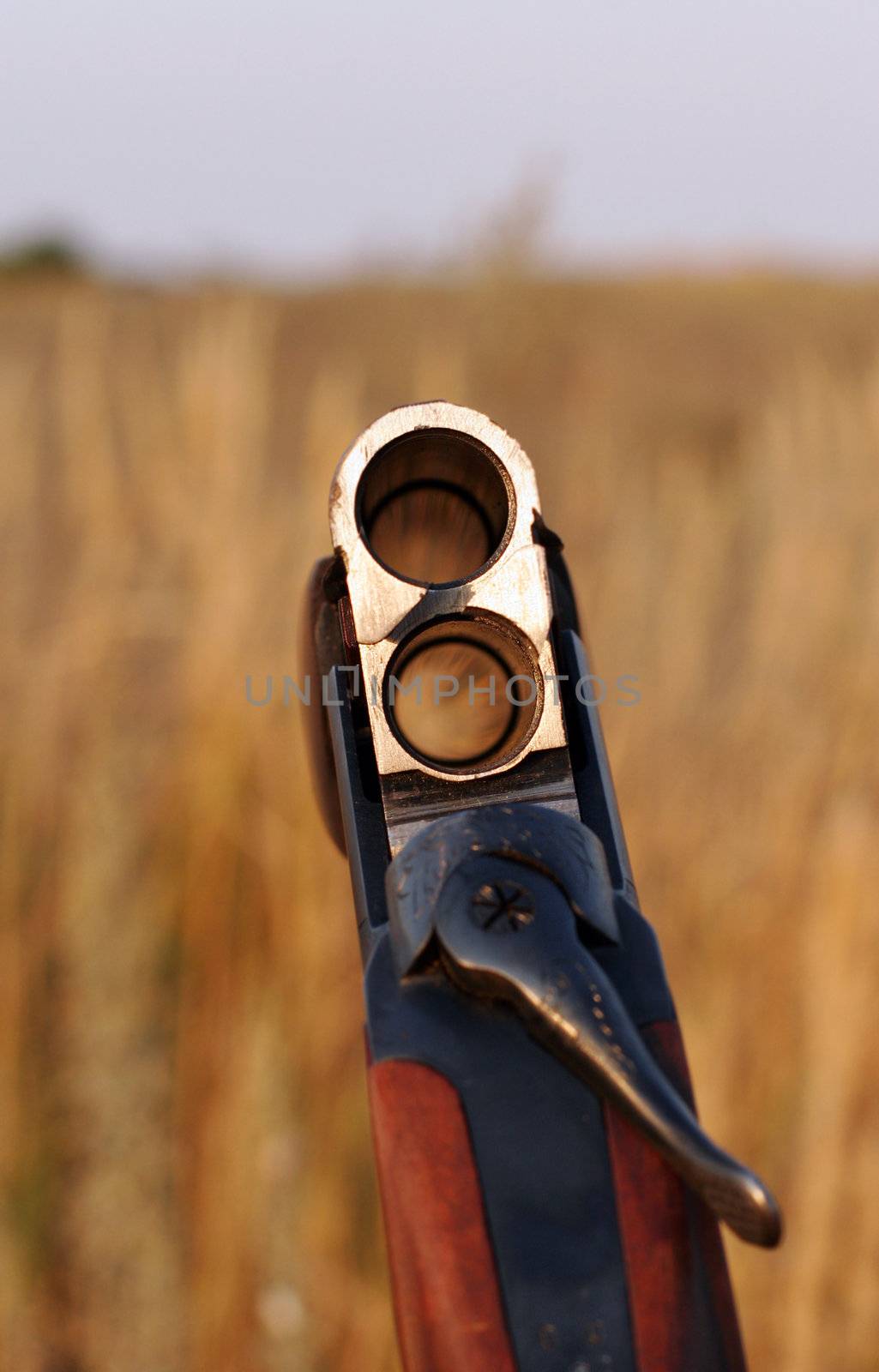 Hunting double-barrelled gun close up