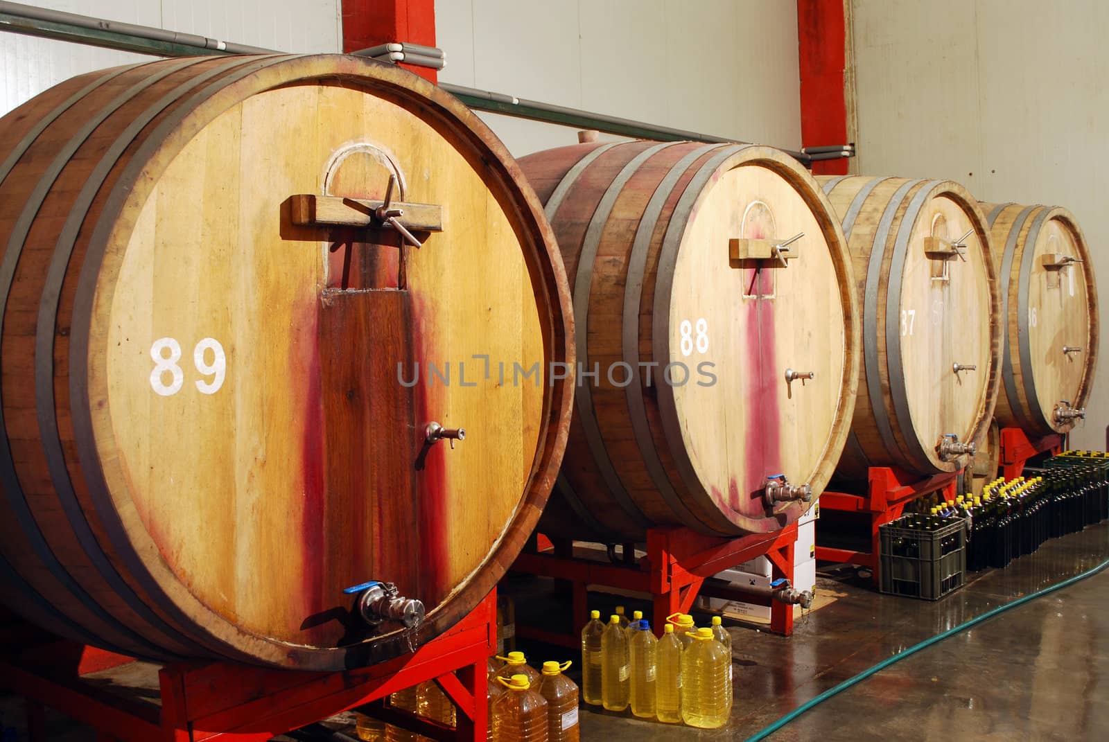 wine cellar with wooden barrels 
