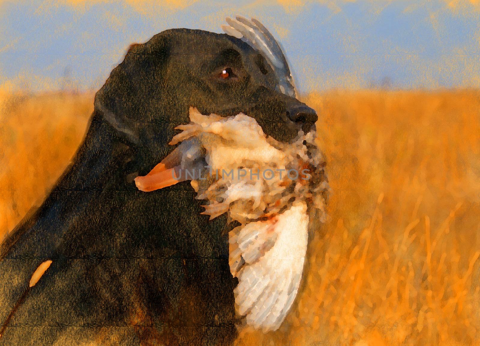 oil painting portrait of black labrador with duck by Yarvet
