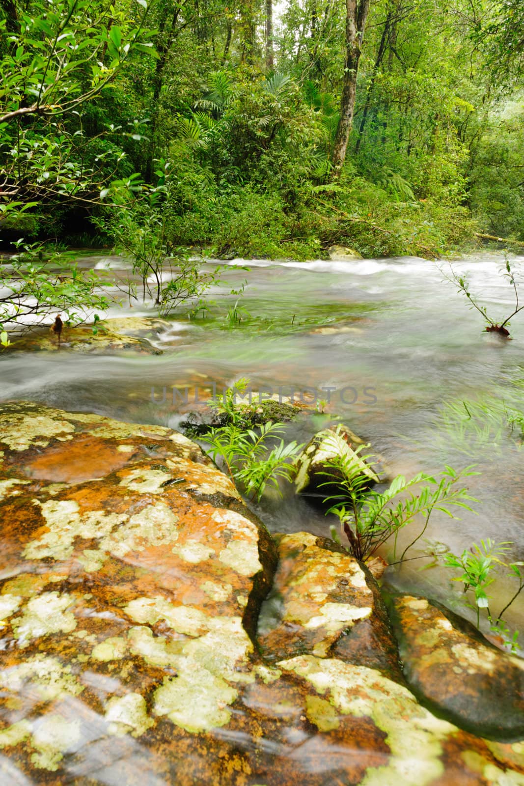 The beautiful little waterfall at rainforest, Thailand. by ngungfoto