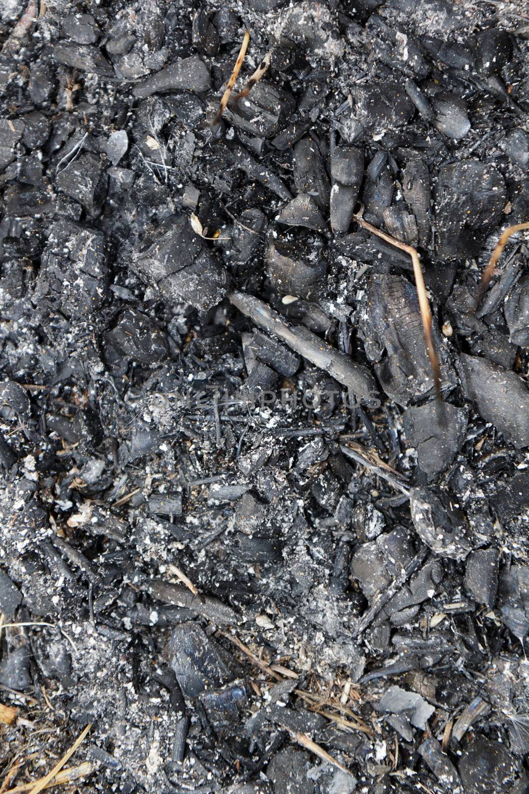 texture of charcoal. Extinguished bonfire outdoors with natural light