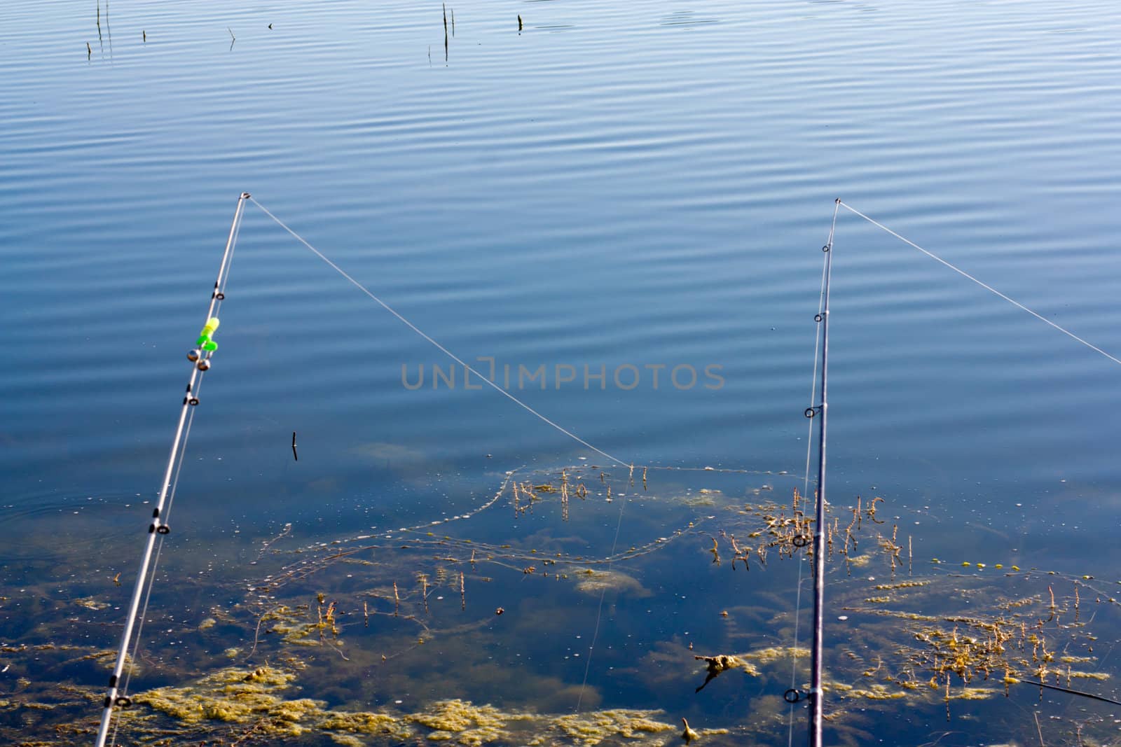 fishing in a calm swedish lake on a sunny day 