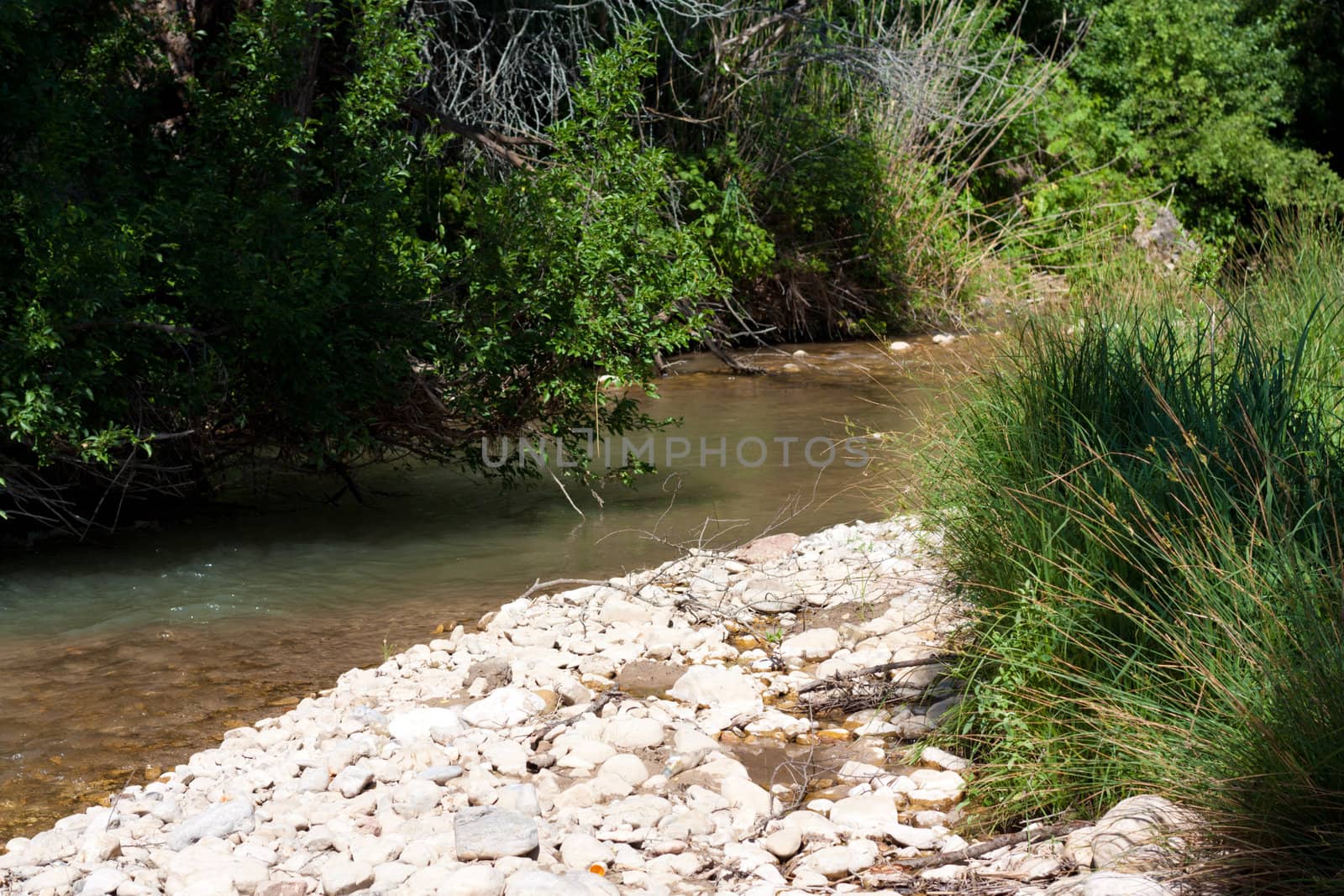 mountain stream by schankz