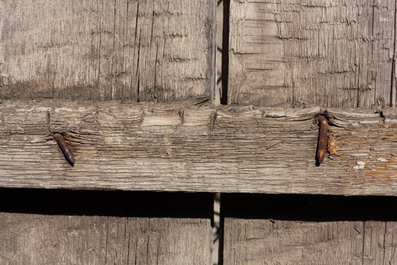 rusty nails in wood 