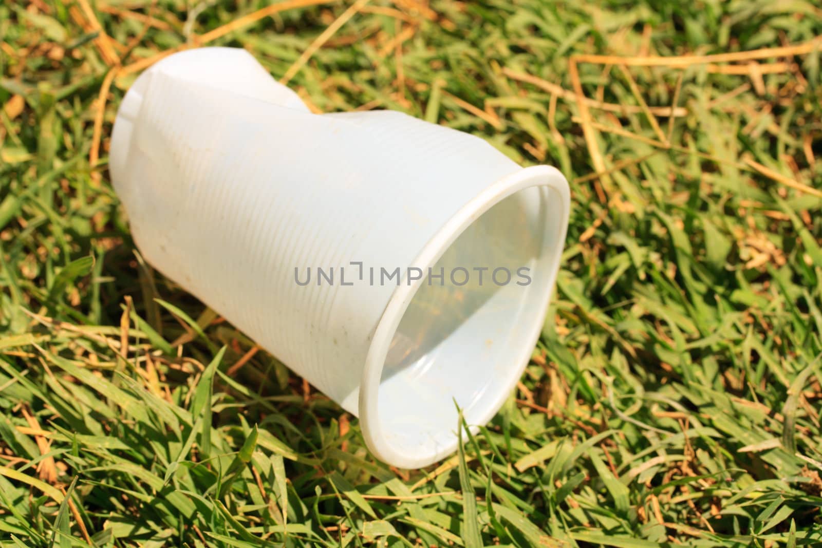 plastic cup on the nature of how the garbage