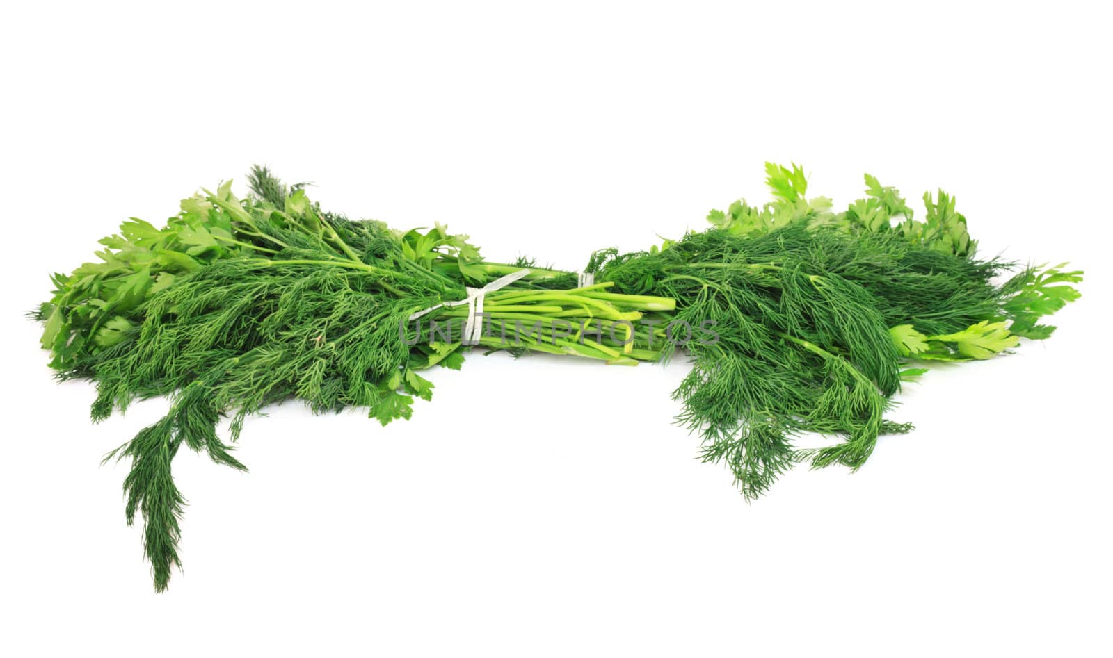 Dill and parsley isolated on a white background  by schankz