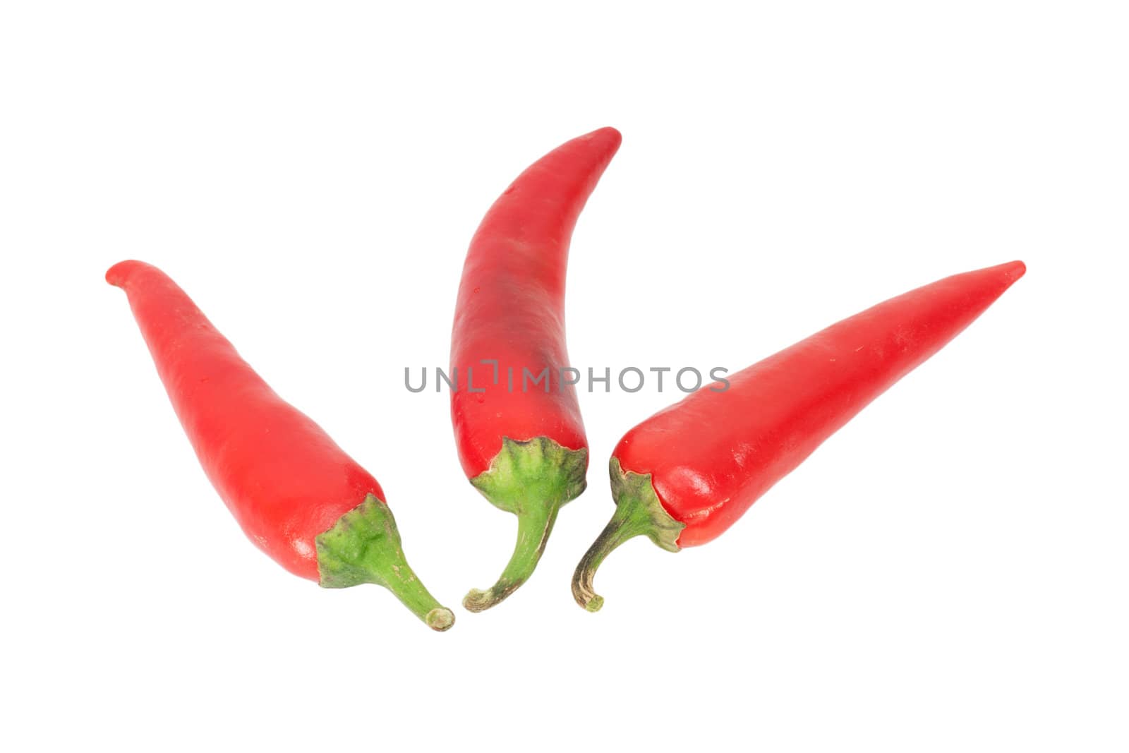 Chili pepper isolated on white background  by schankz