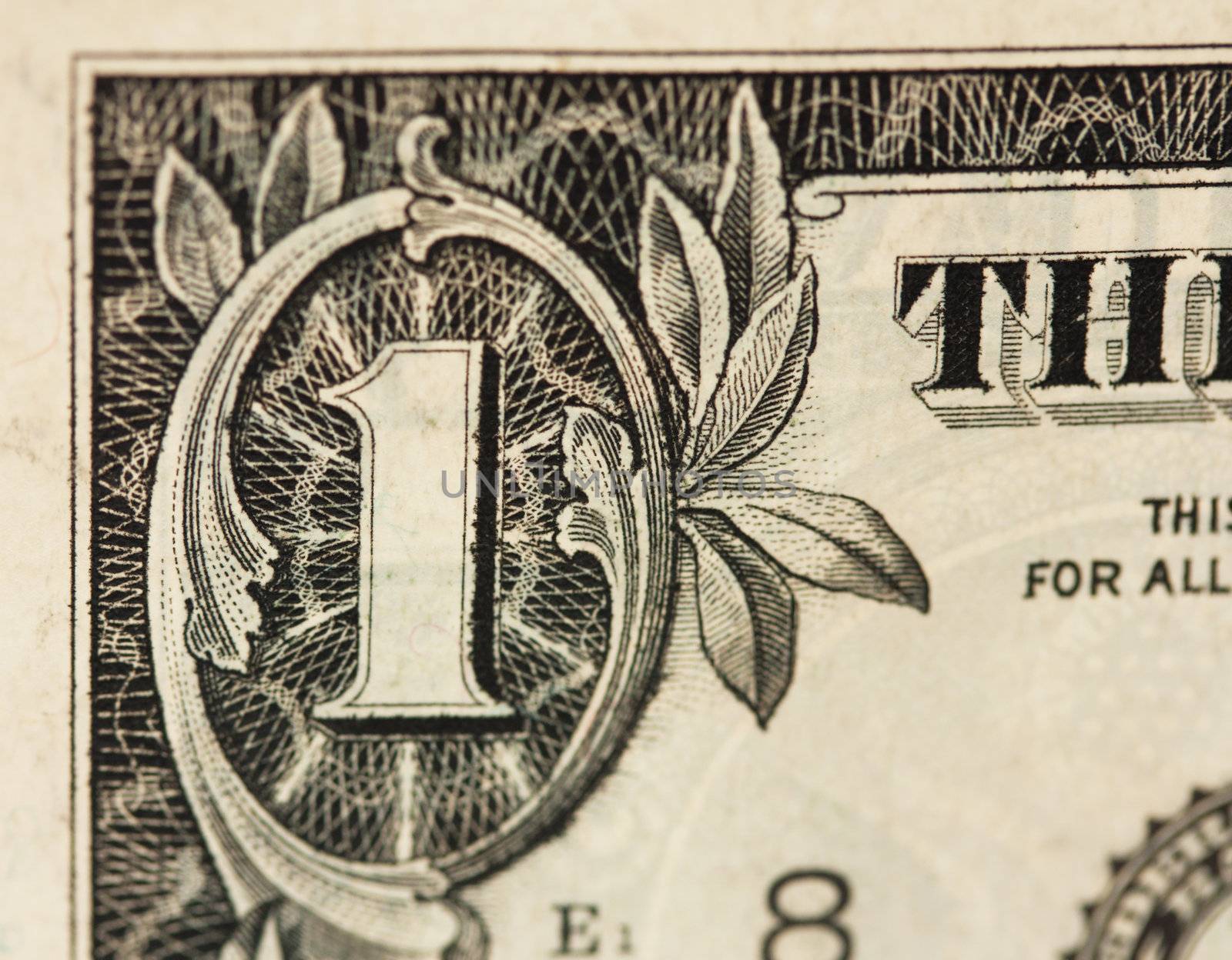 A macro of a one dollar 