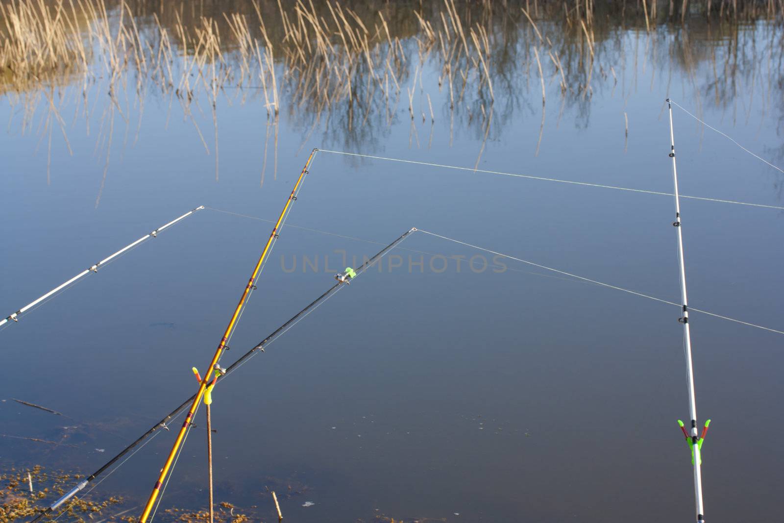 Rods used for deep sea fishing 