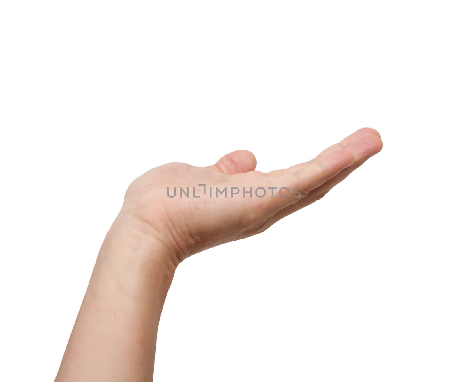 Human hand held up. Awaiting a gift. Isolated on white background. 