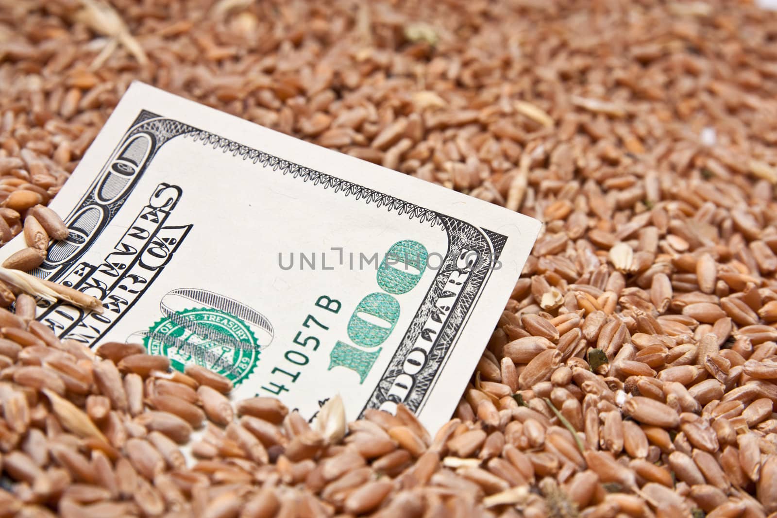 One hundred dollars in wheat
