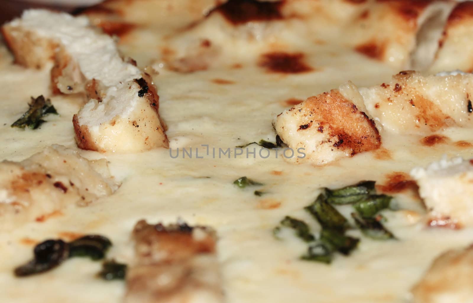 Close Up of Chicken Specialty Pizza by tornado98