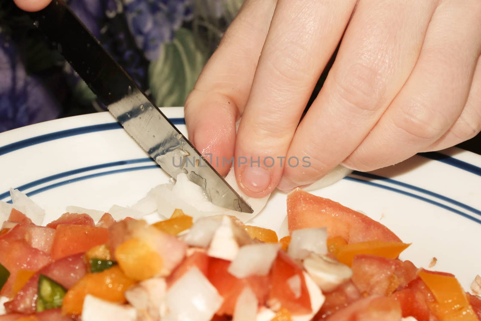 Hand-Chopped Vegetables