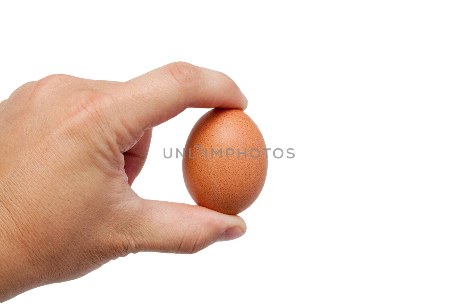 well shaped men's hand with an egg isolated over white 
