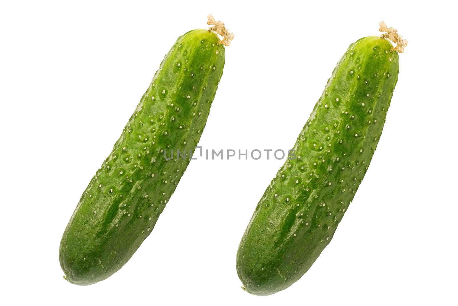 two cucumbers insulated on white background