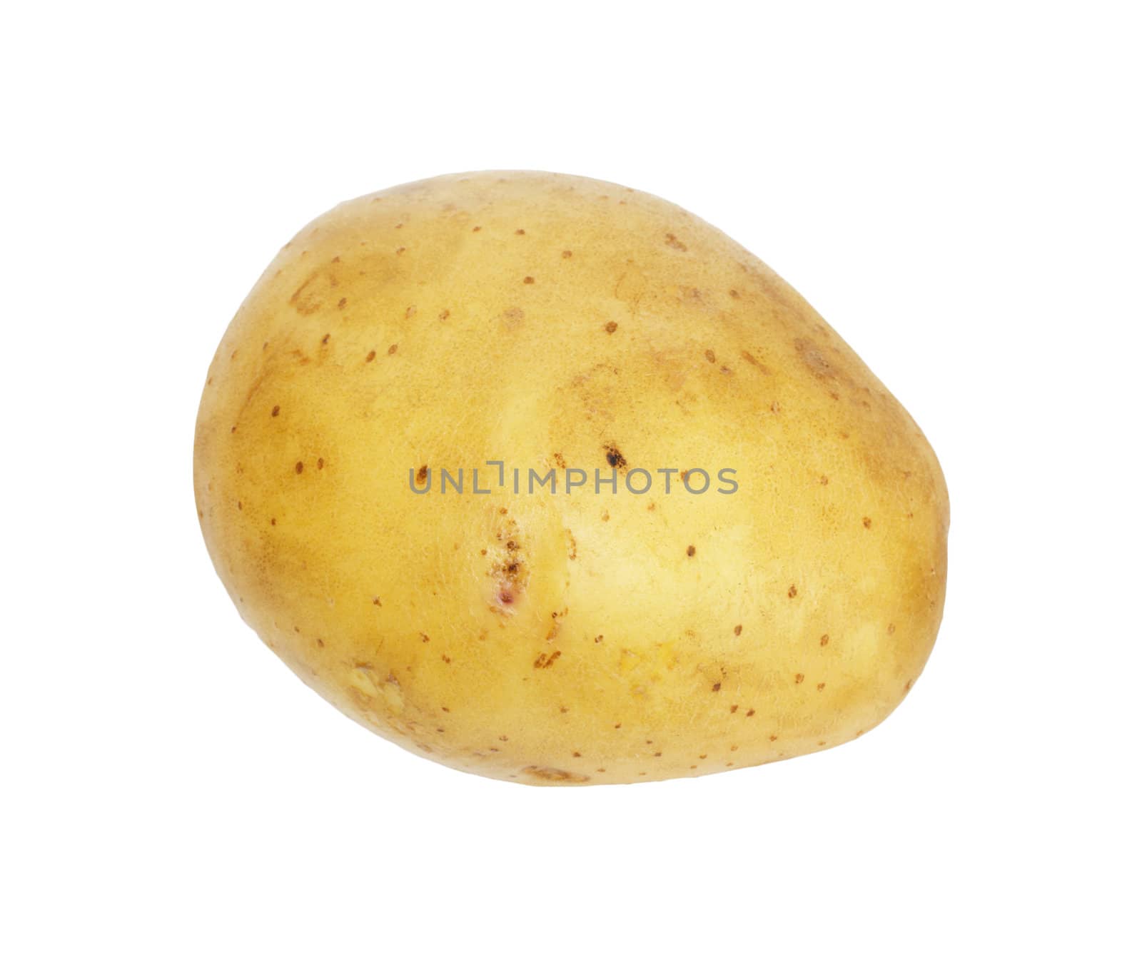 One potato isolated, object on white background  by schankz