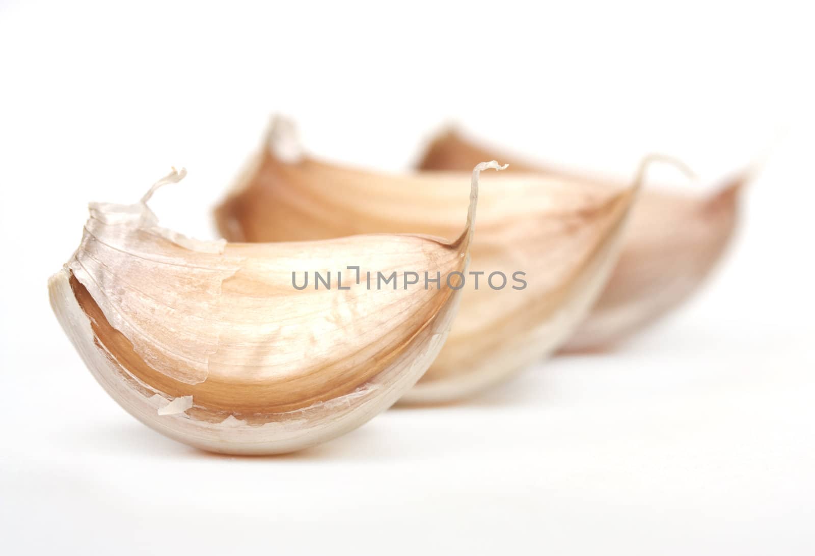 garlic on a white background. close