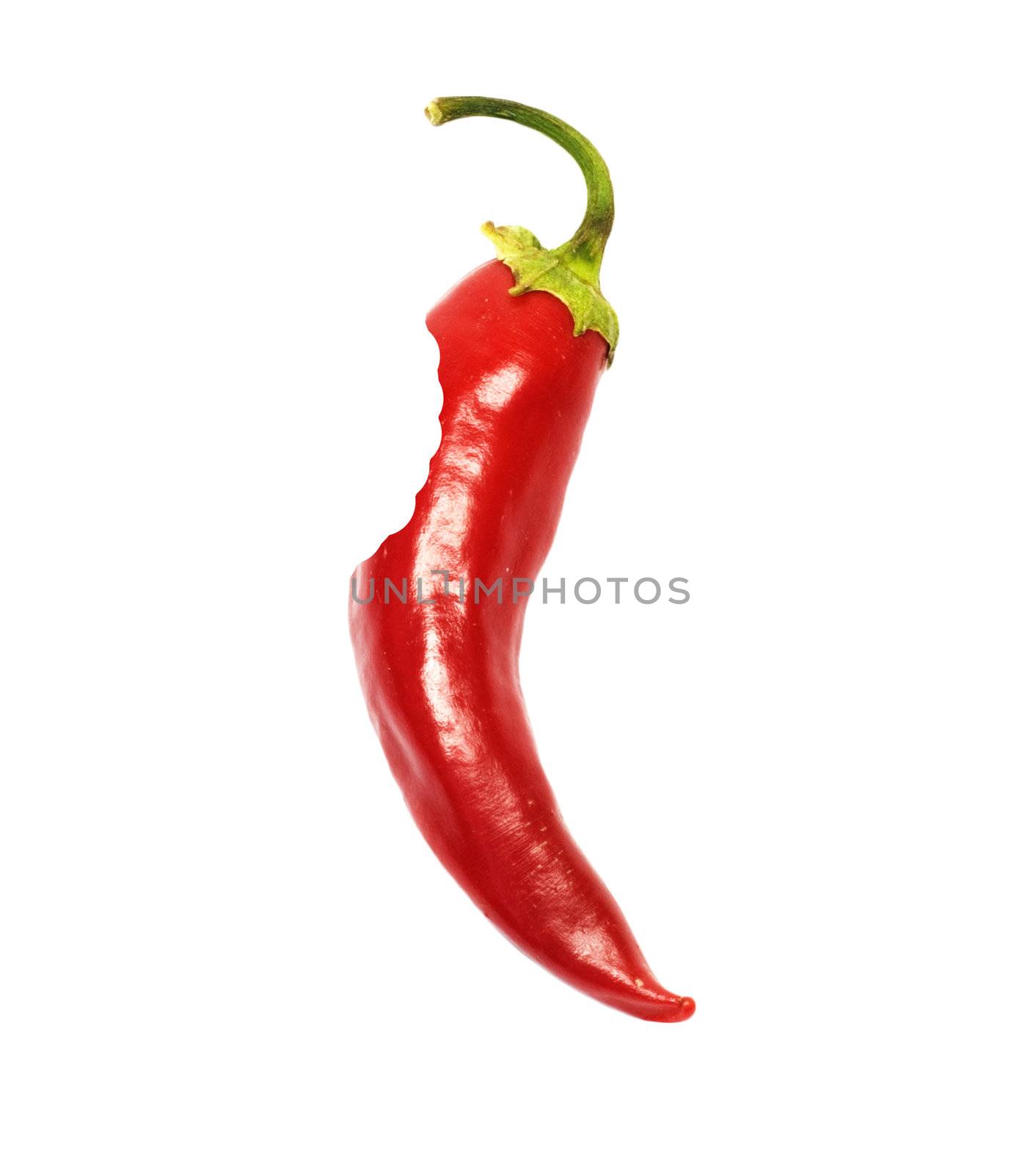 bited off a piece of red hot chili pepper  by schankz