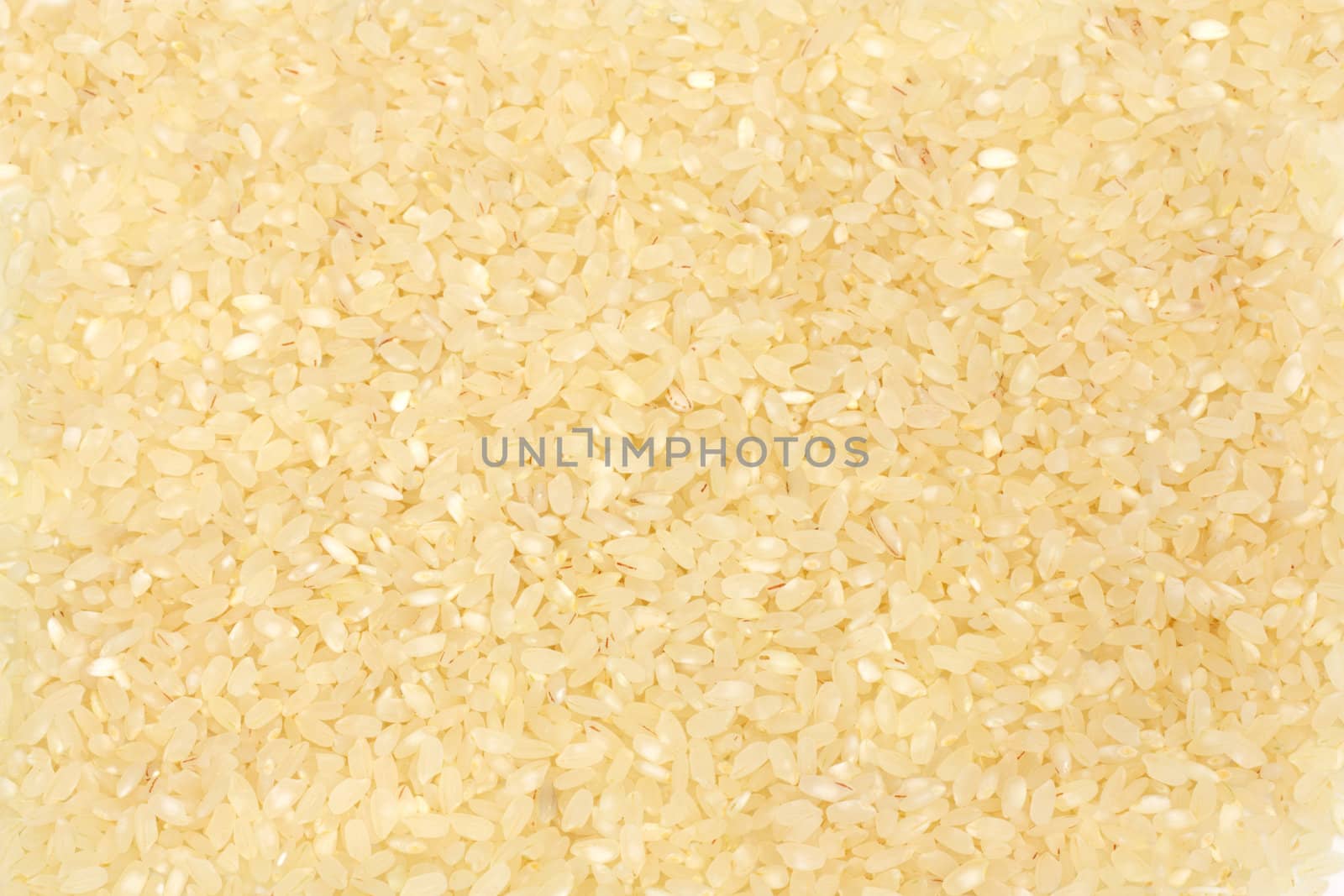 rice texture 