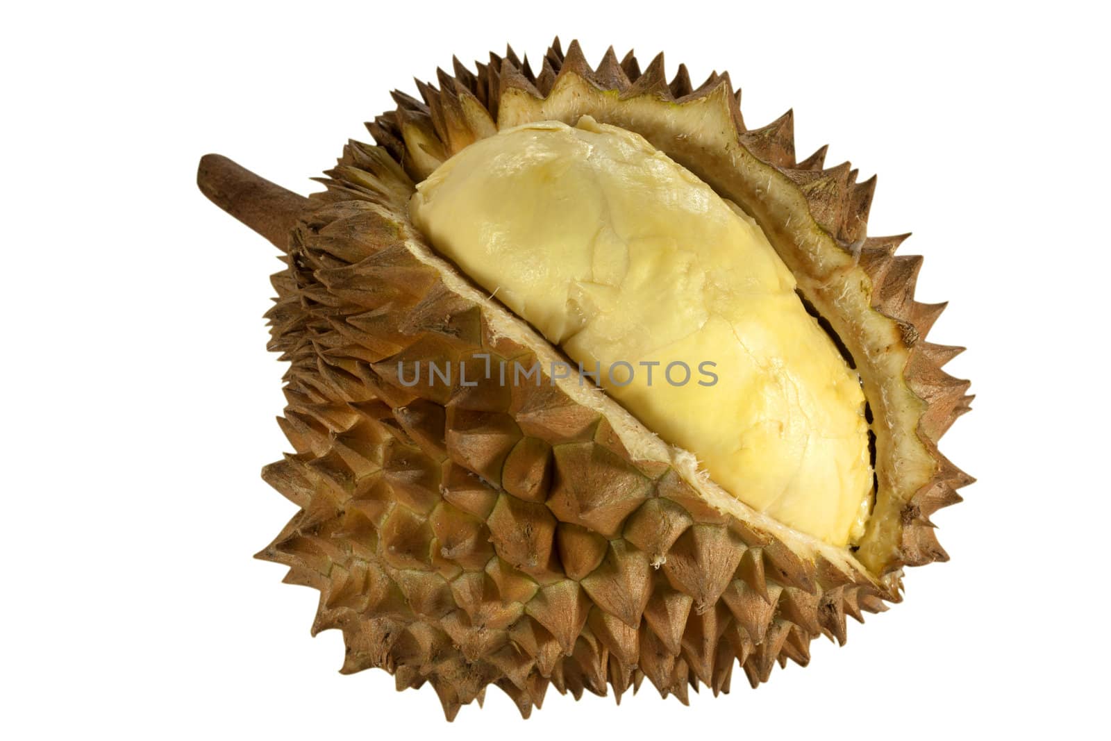 Durian fruit smells sweet with high carbohydrates.