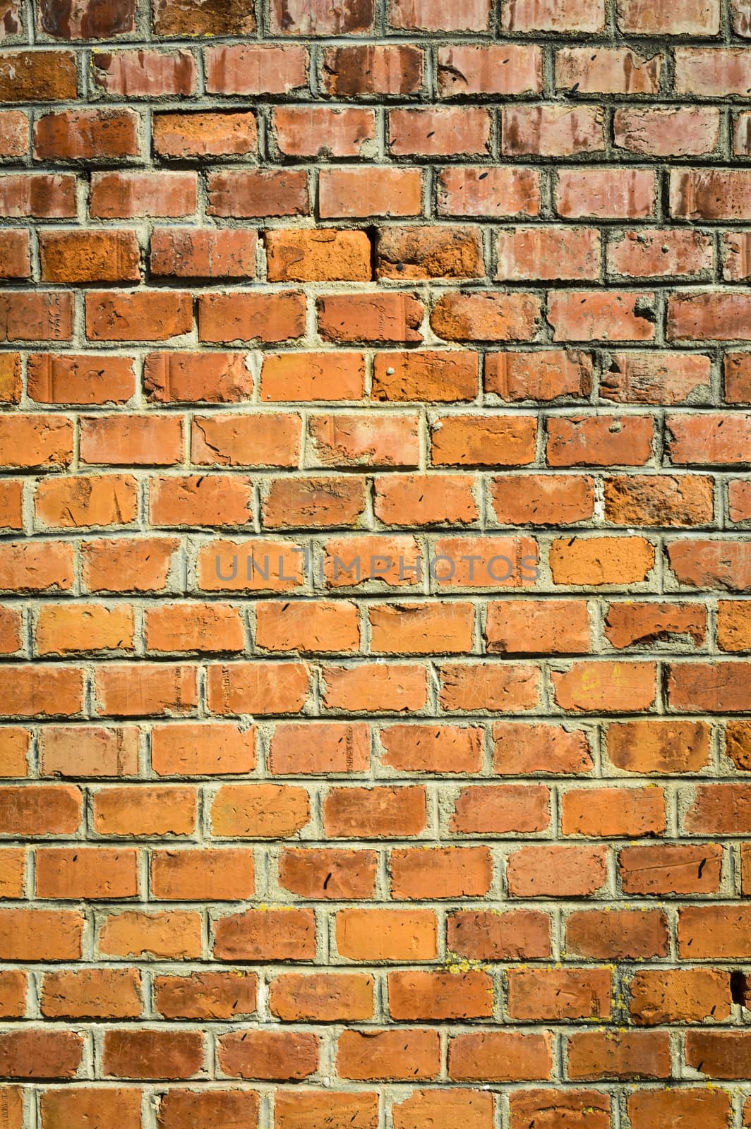 Orange brick  wall for backgrounds