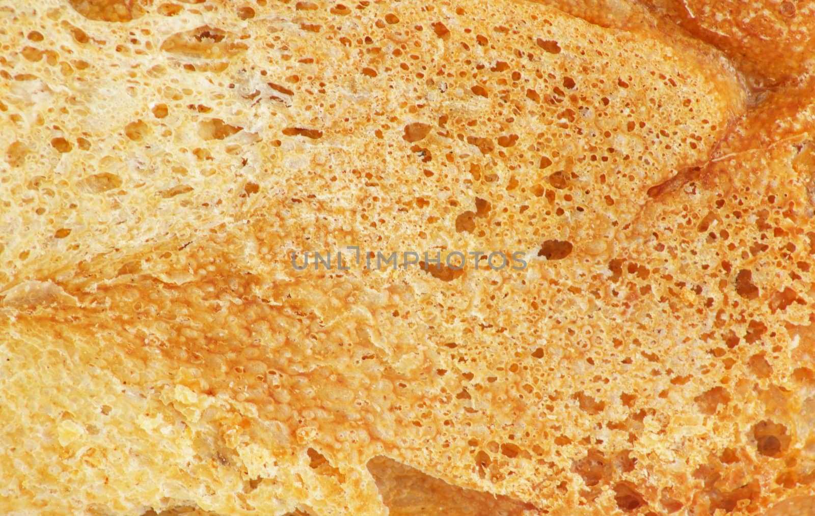 crust of bread as a backdrop. Macro by schankz