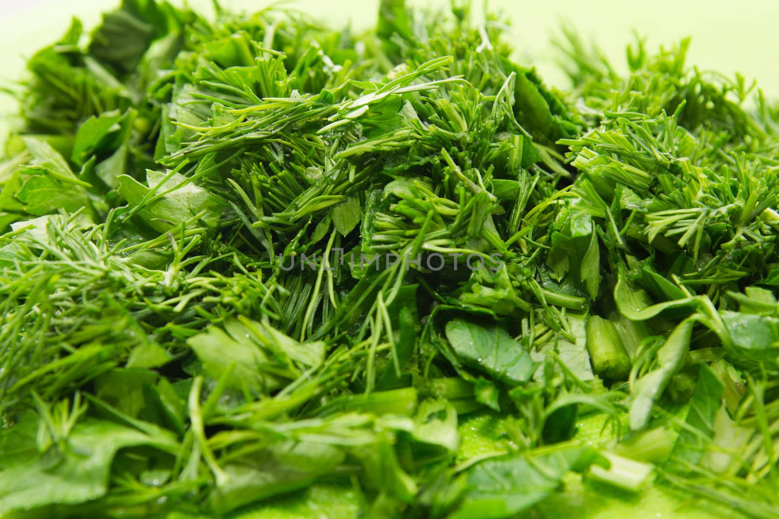 The cut fennel with parsley