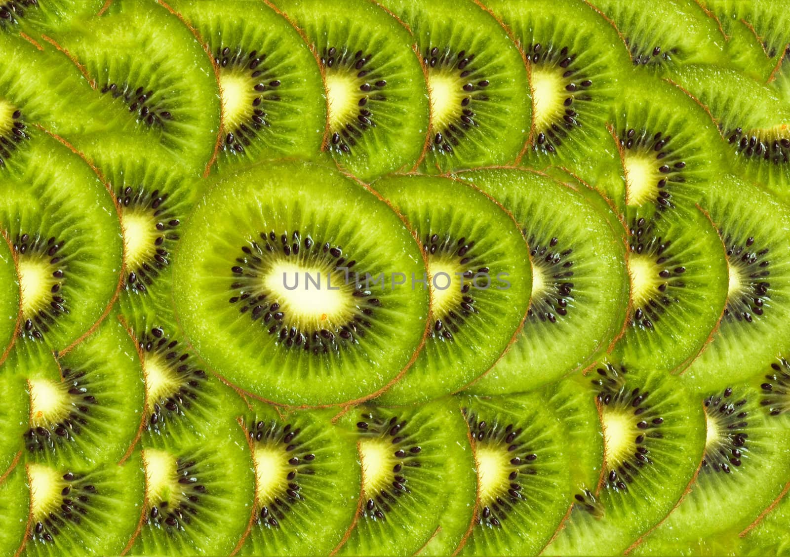 kiwi in the background background