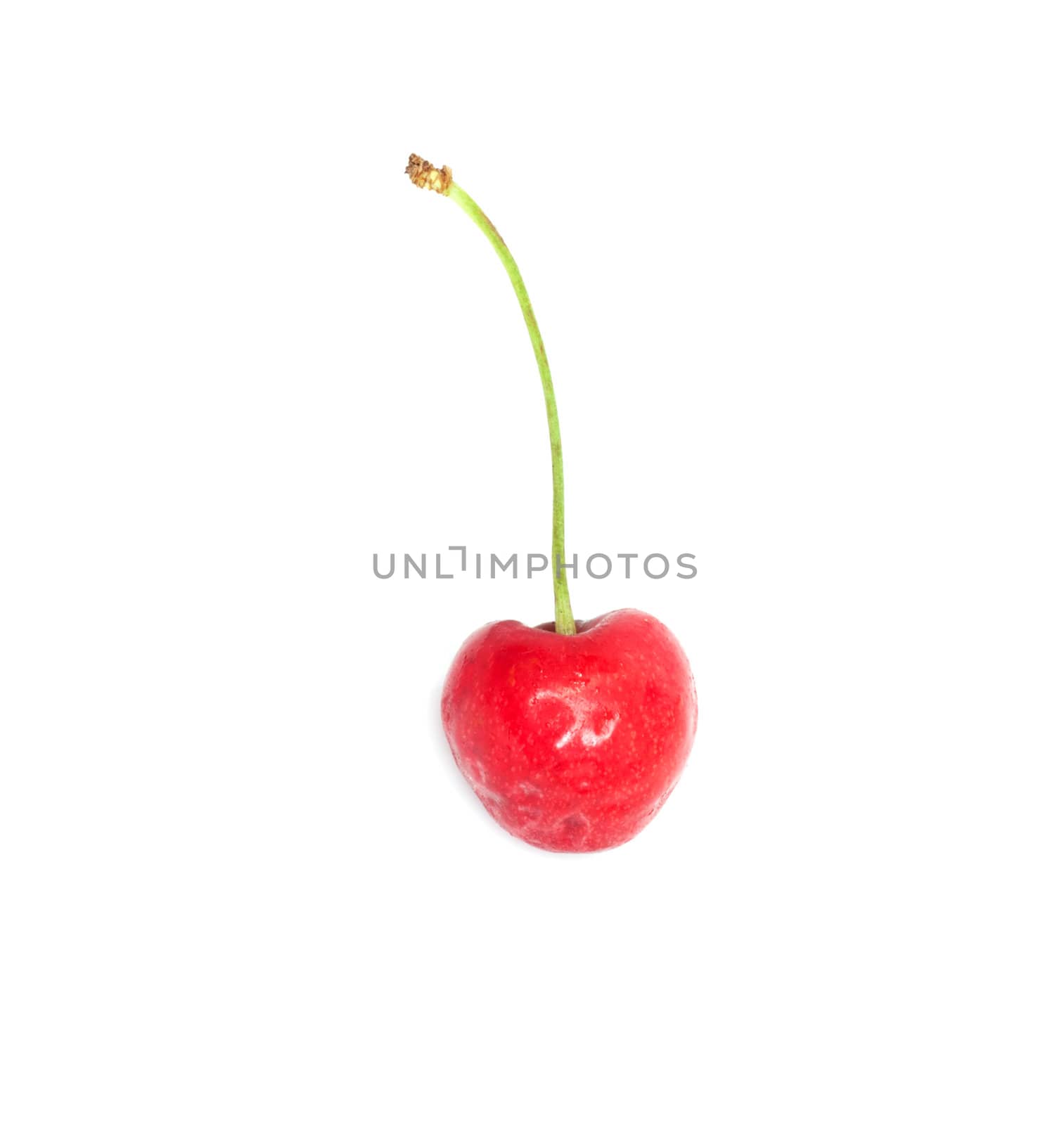 A ripe, juicy cherry 