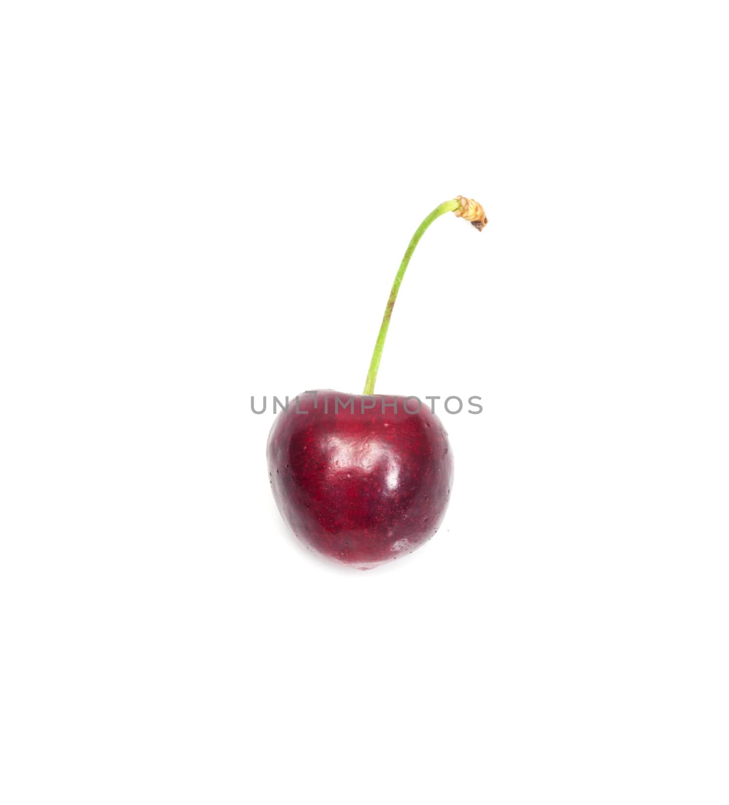 A ripe, juicy cherry  by schankz