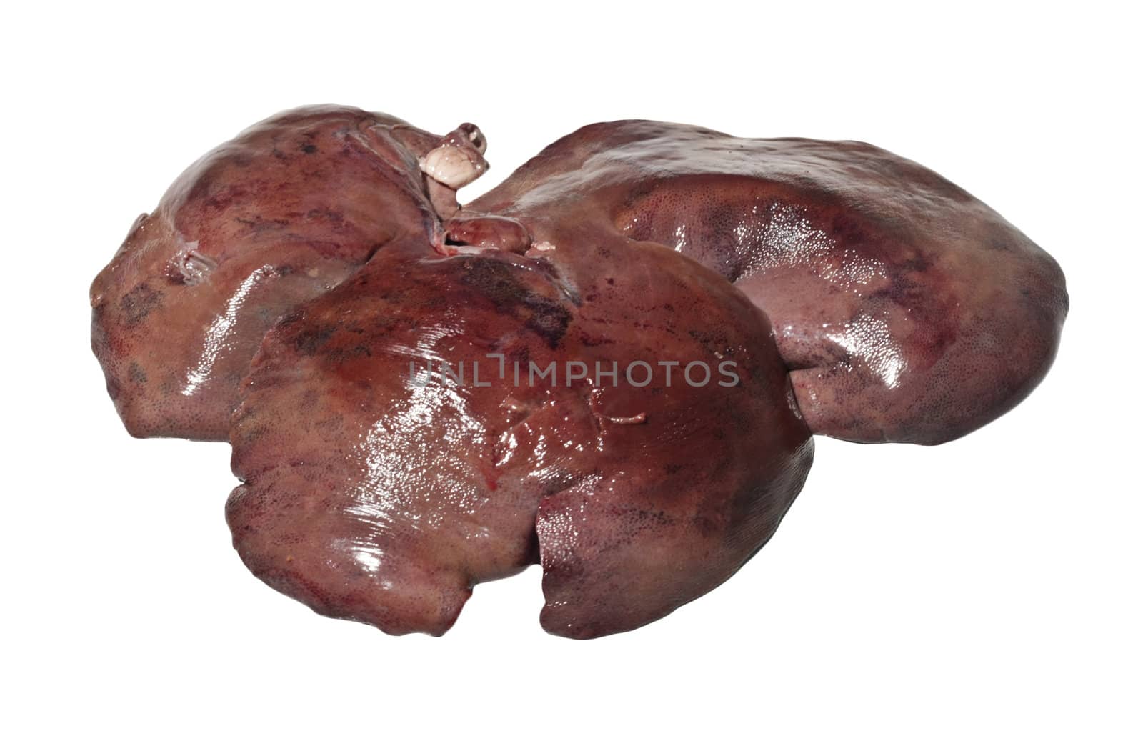 Raw beef liver isolated on white background 