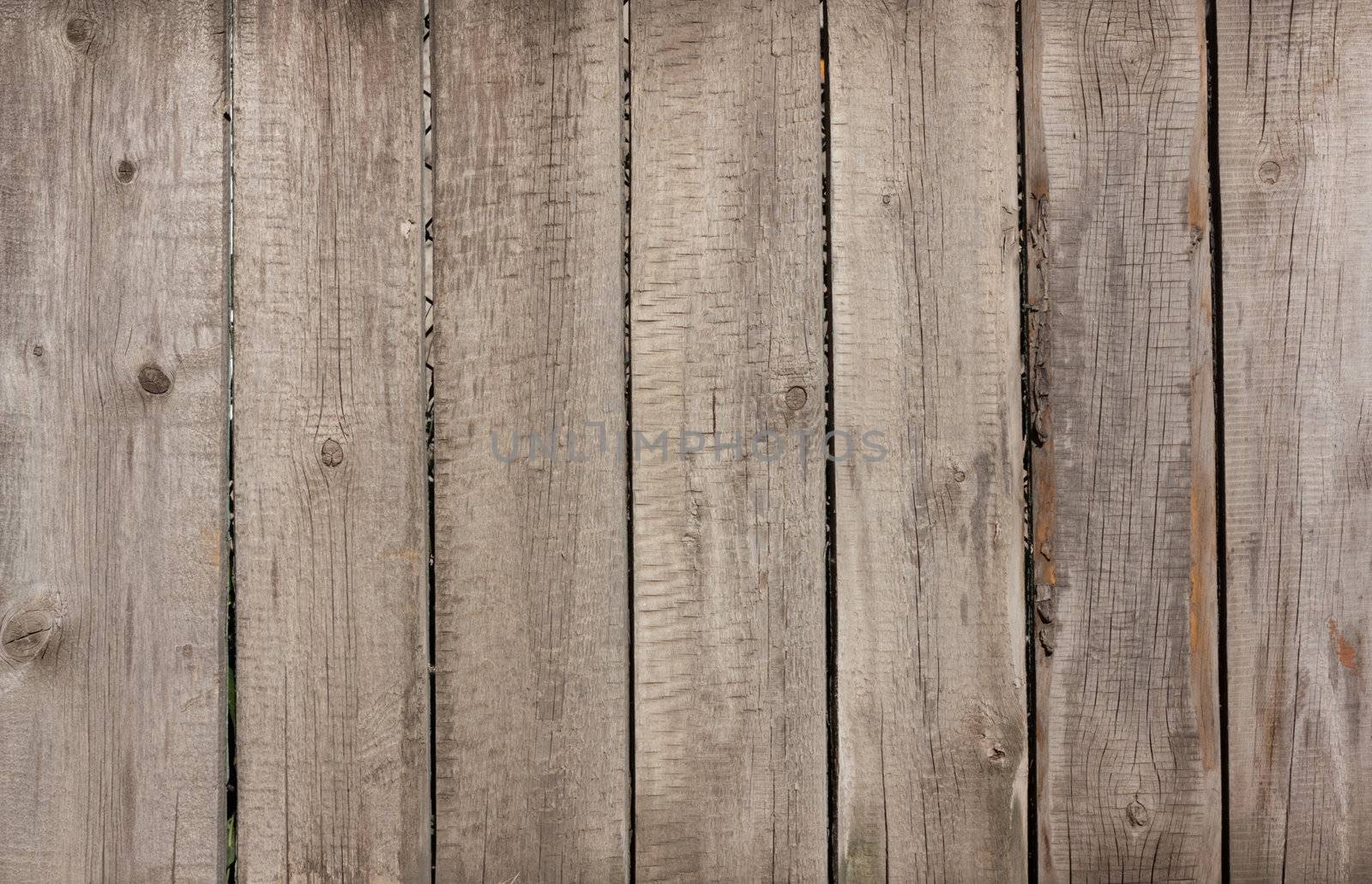 Close up of gray wooden fence panels  by schankz