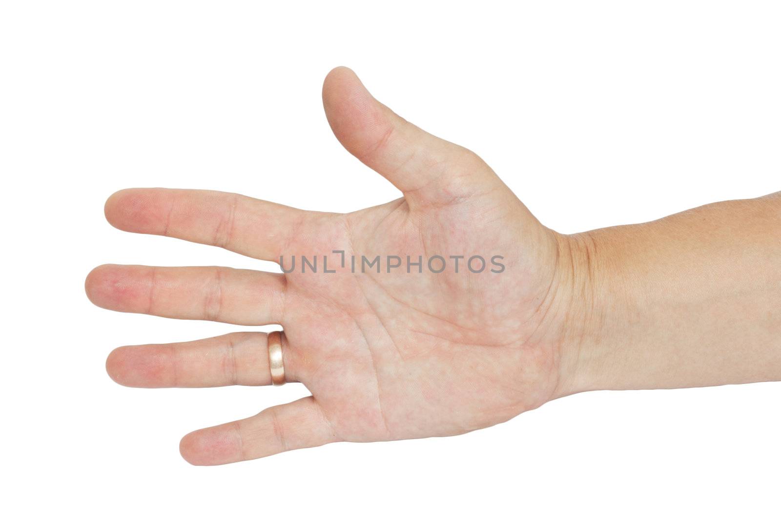 hand with a ring of men on a white background by schankz