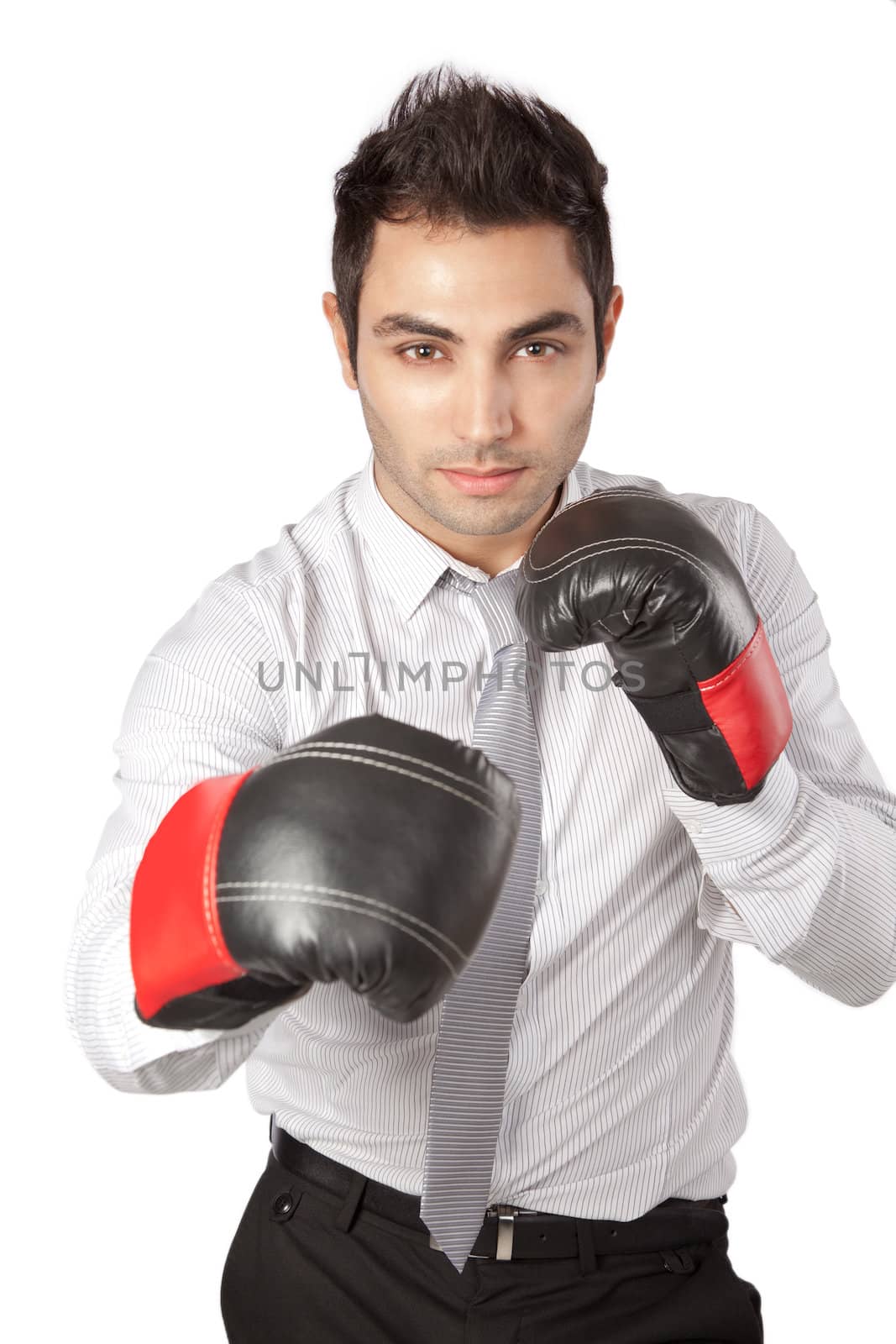 Young businessman  wearing boxing gloves isolated on white background.