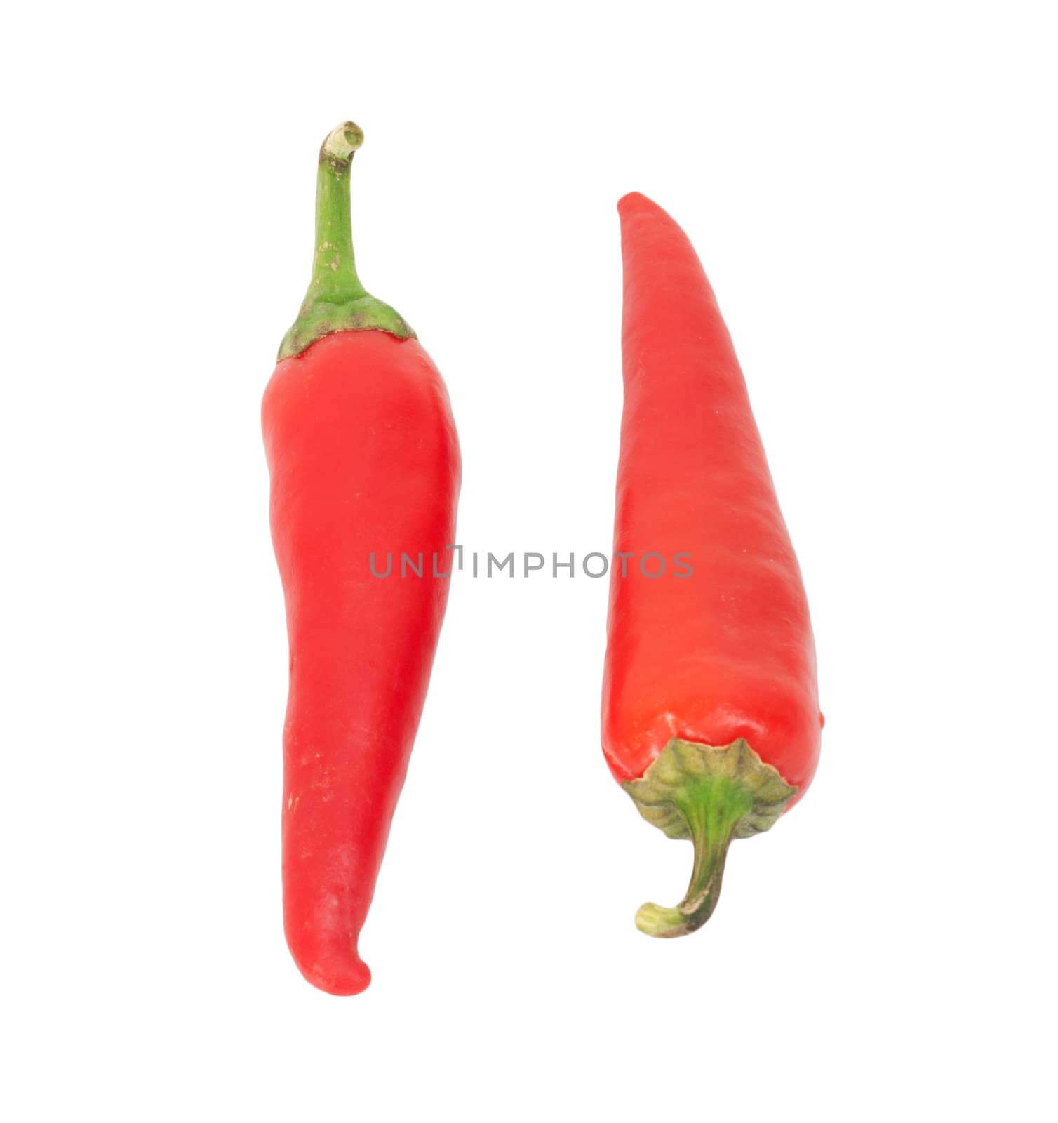 fresh red hot pepper on a white  by schankz