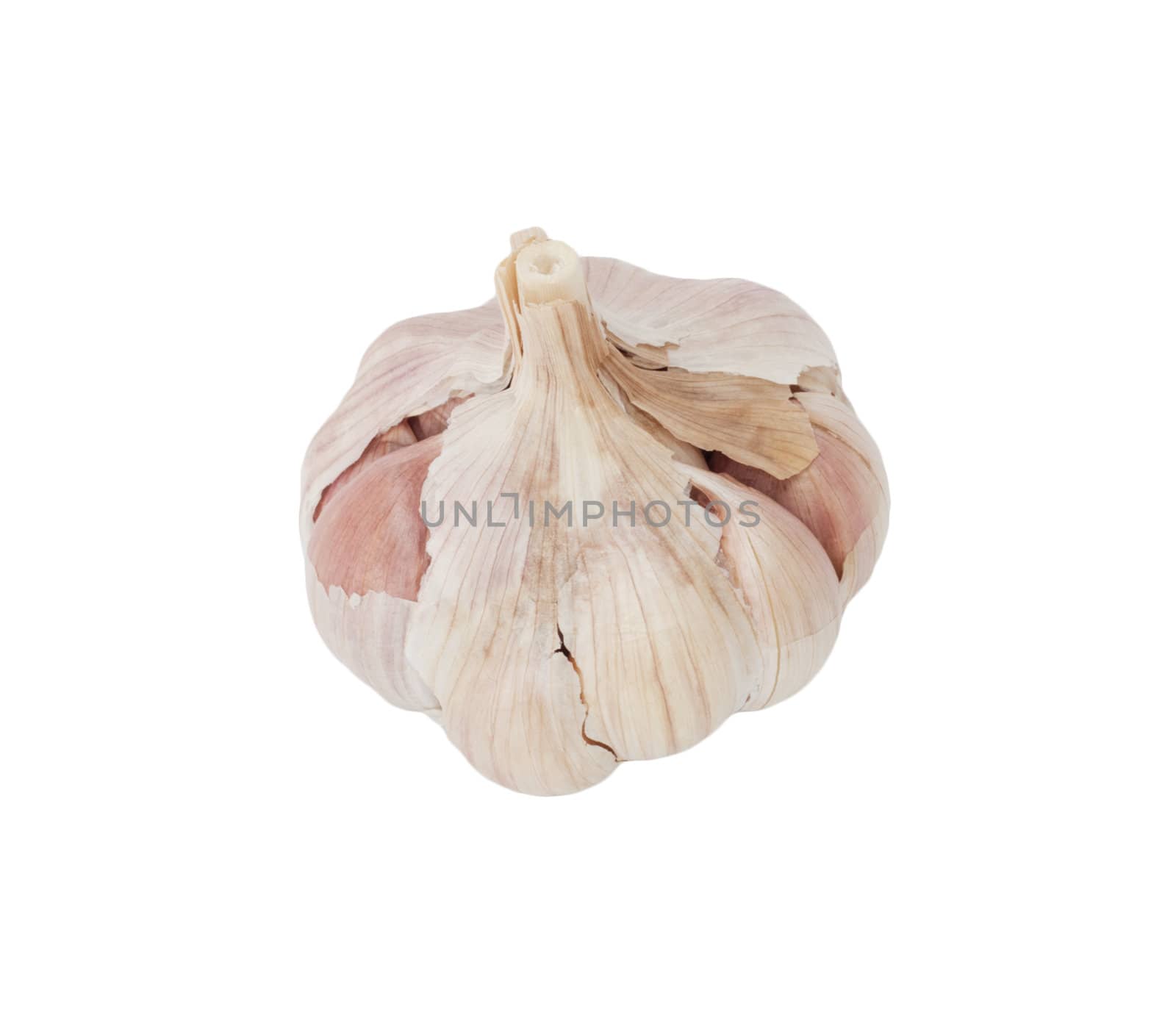 head of the garlic on white background 