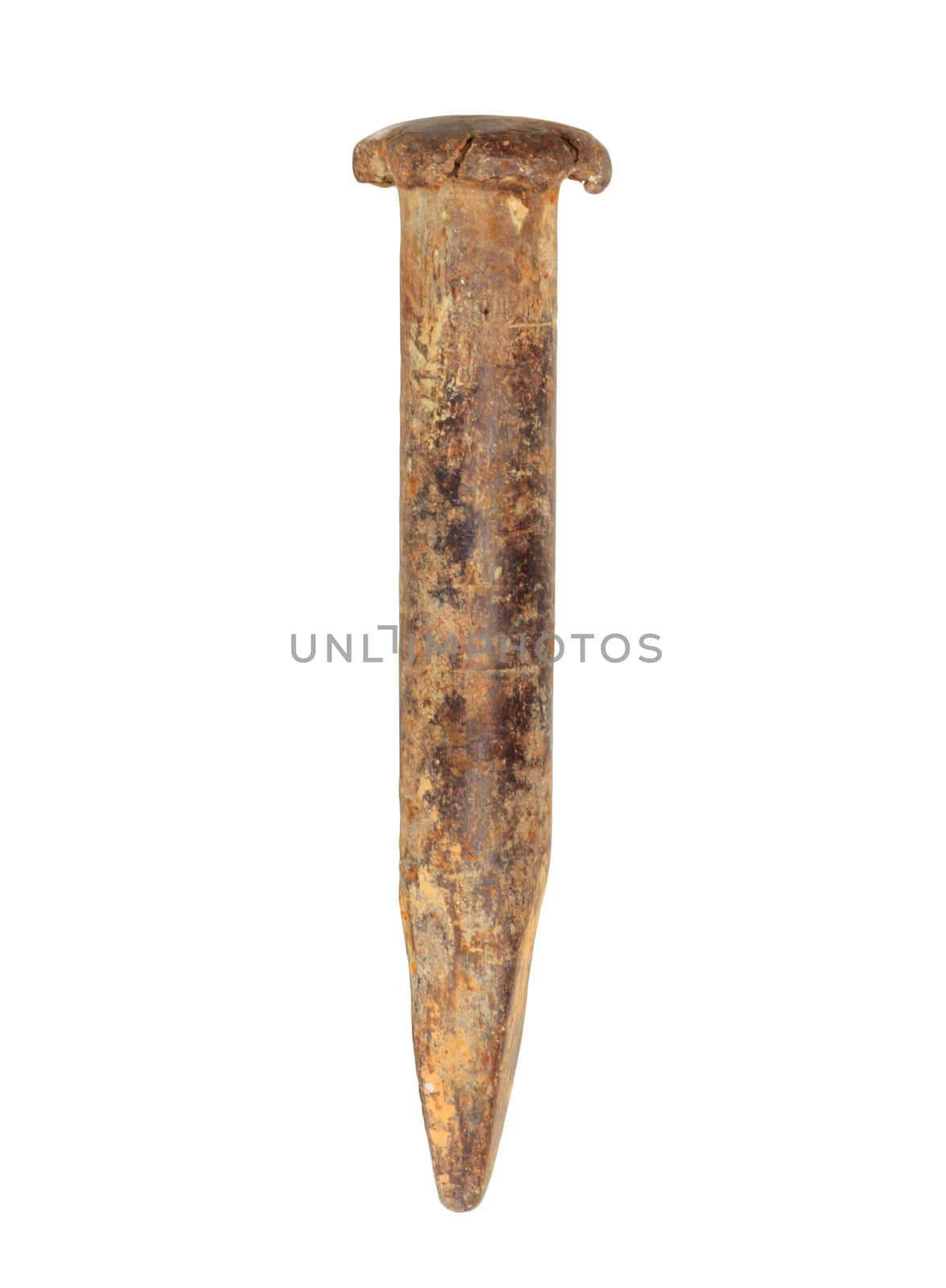 Old rusty nail on a white background  by schankz