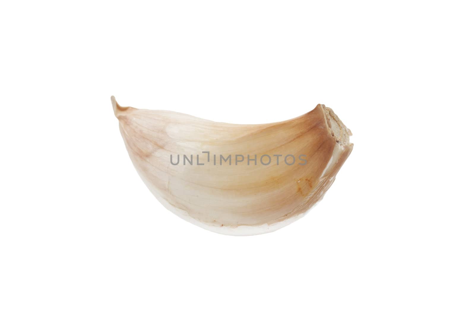 clove of garlic isolated on white background 