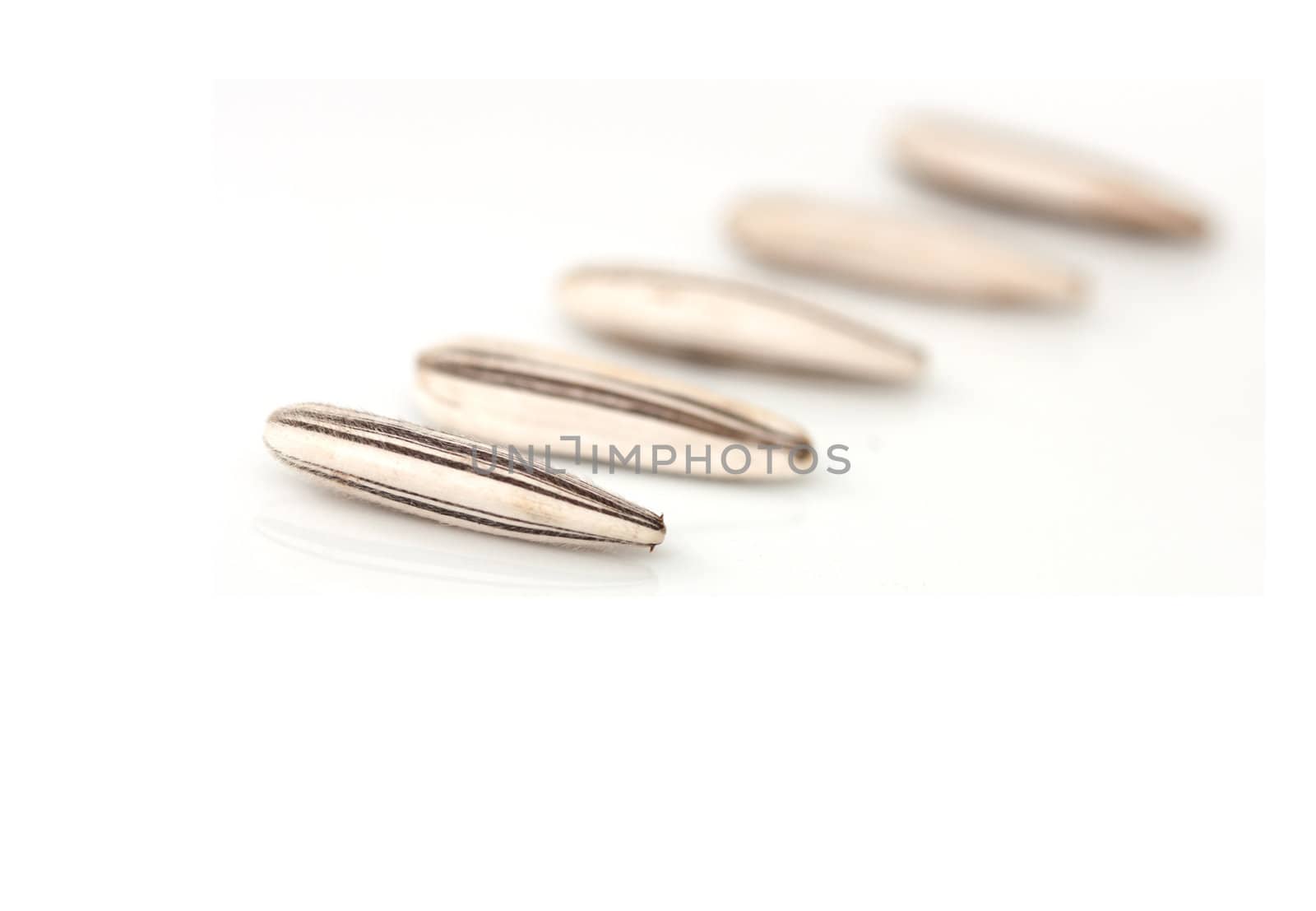 Extreme close-up image of sunflower seeds studio isolated on white background 