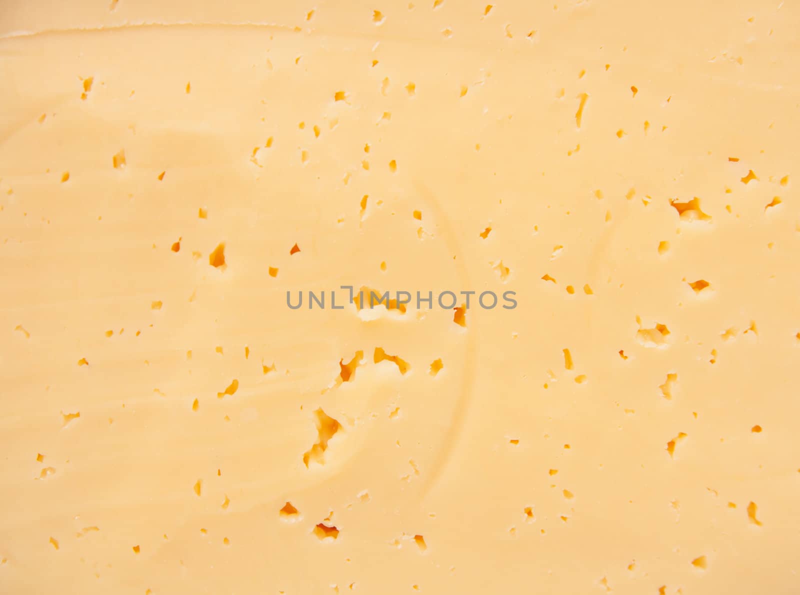 Background of fresh yellow Swiss cheese with holes 