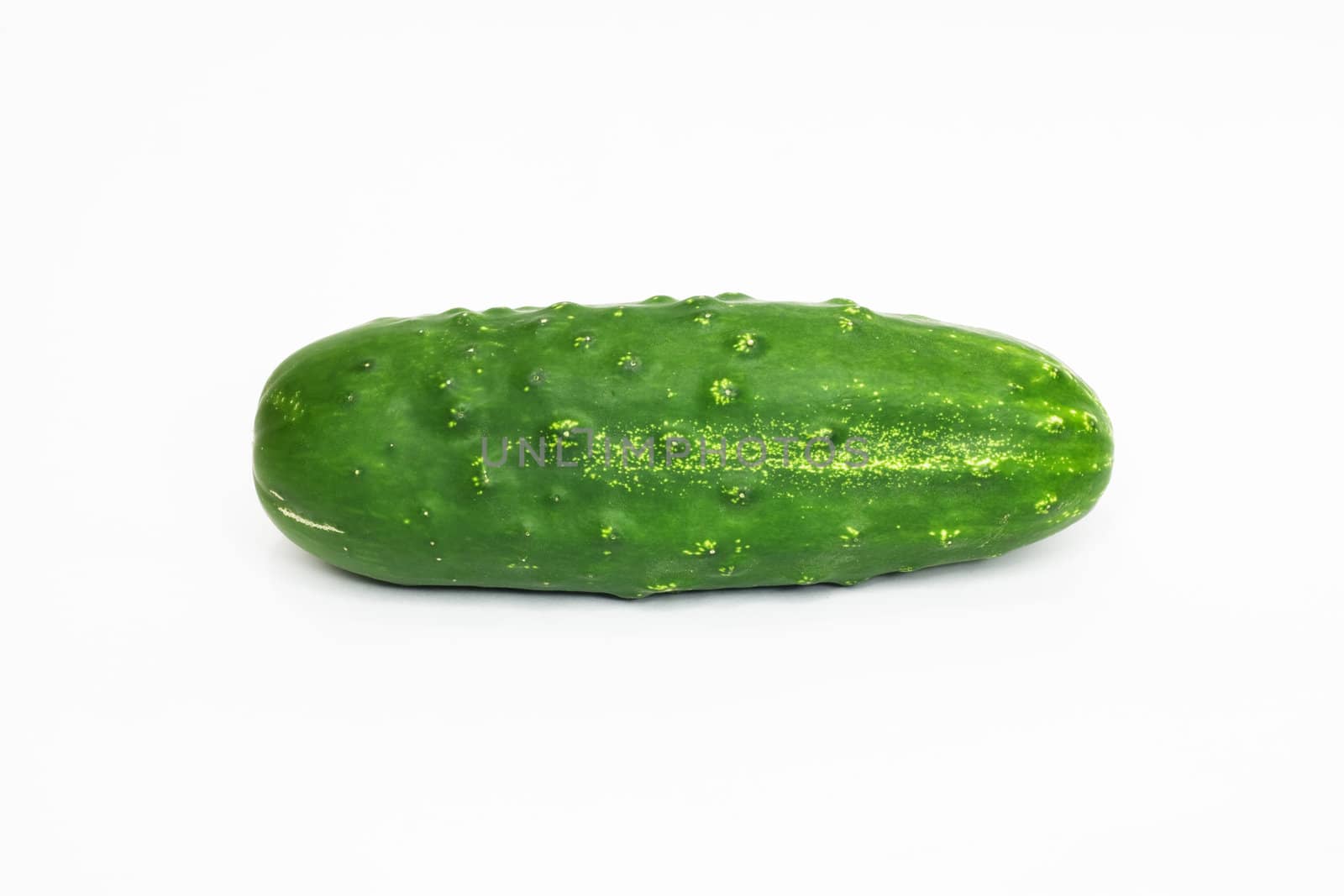 Cucumber isolated on white background. 