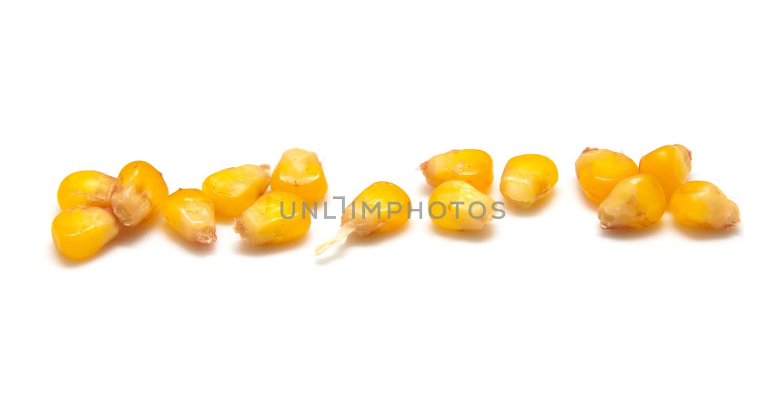 yellow corn grain on white background  by schankz