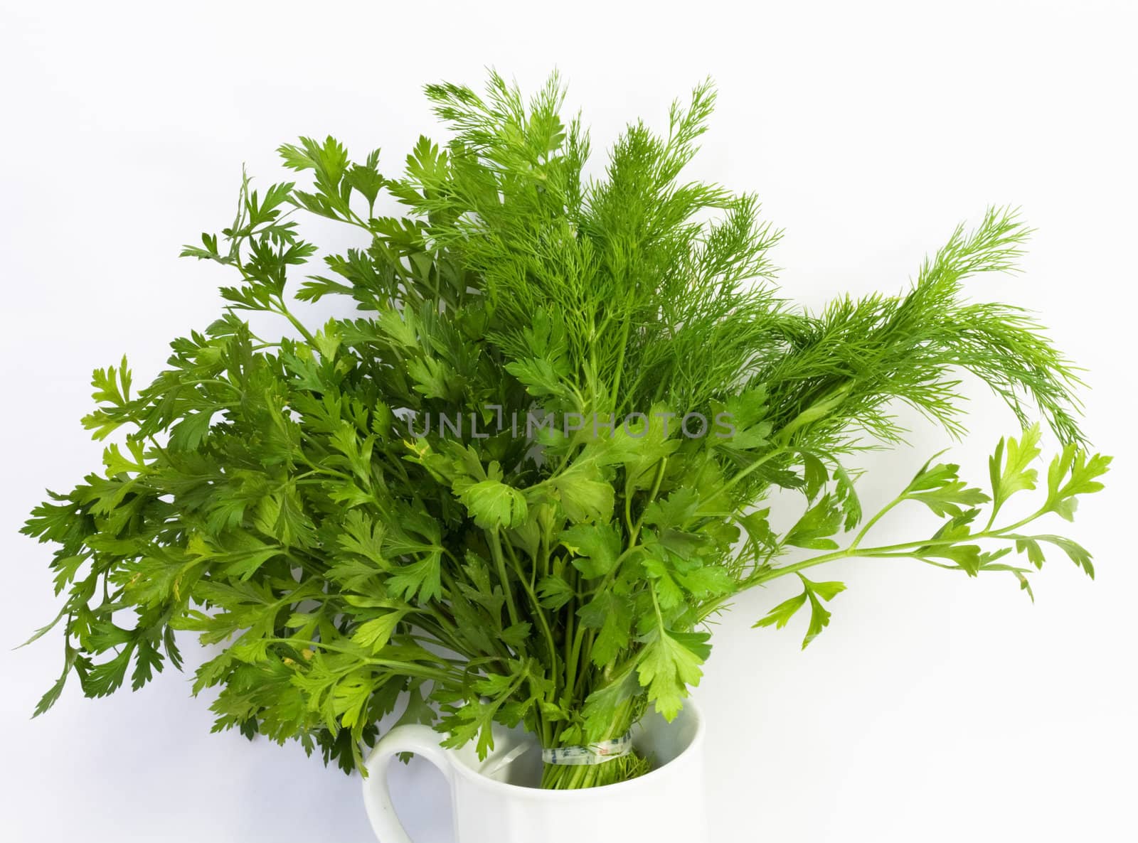 dill and parsley at platw isolated on a white background 