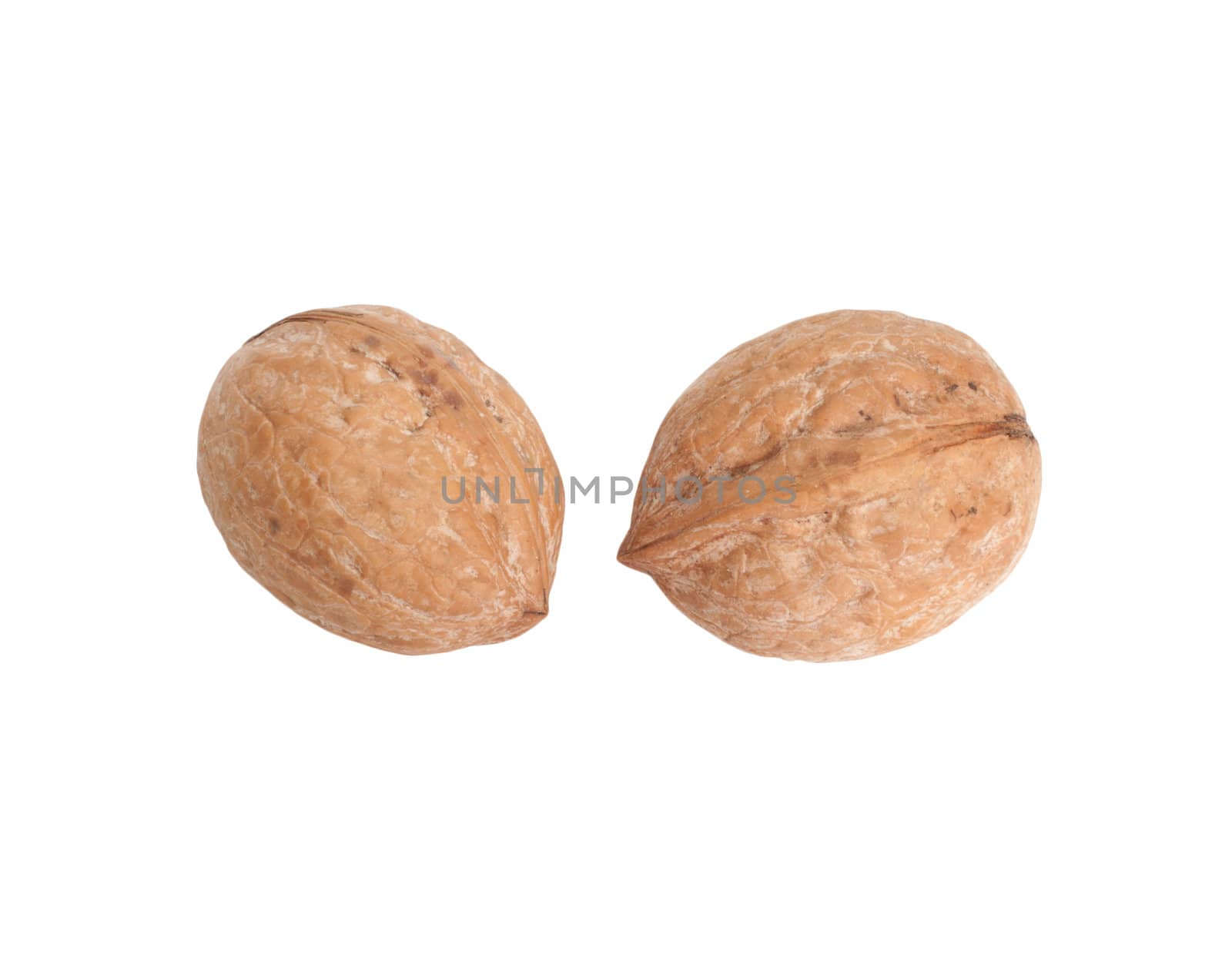 two walnuts on white background by schankz