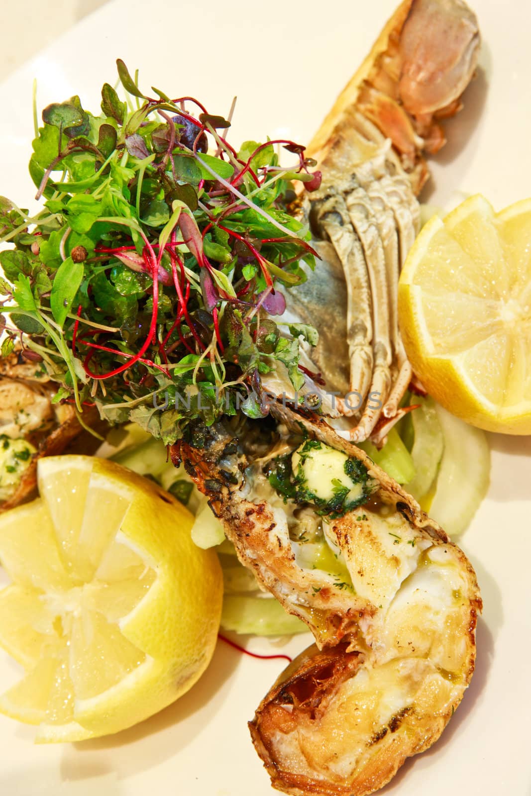 Delicious gourmet seafood meal with a boiled or grilled crayfish served with lemon and fresh herb salad