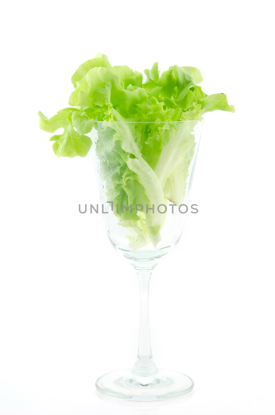 fresh lettuce in glass on white background