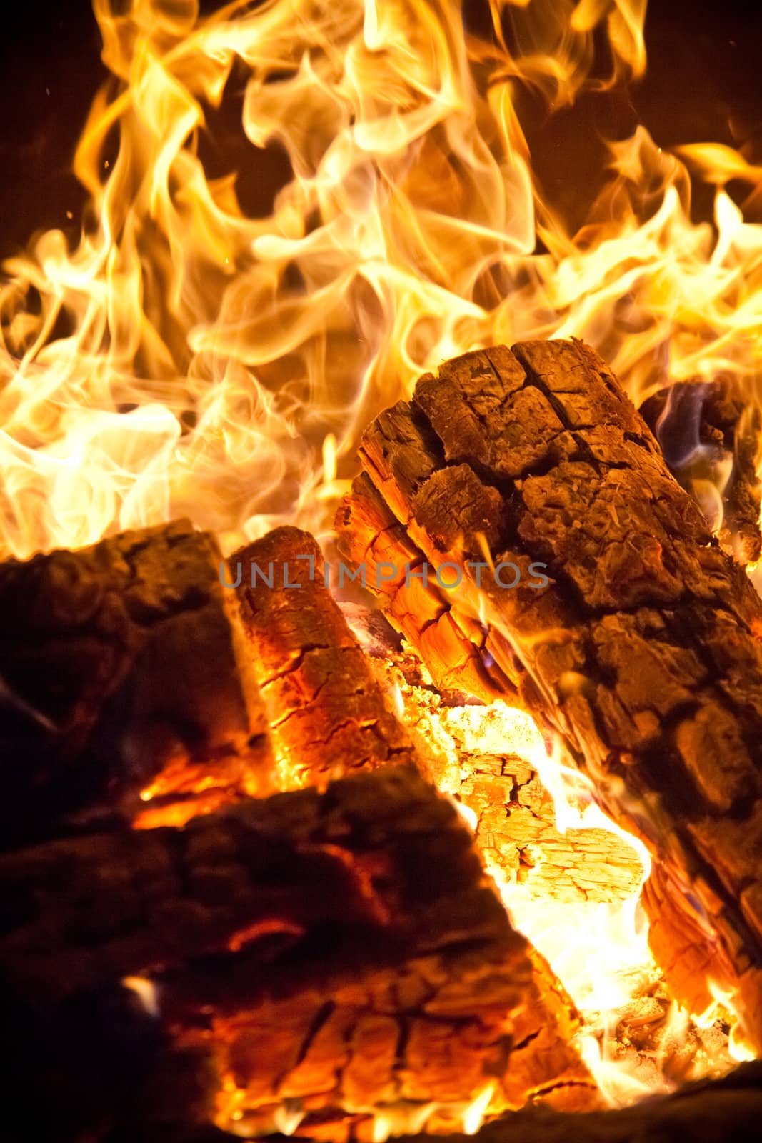 Close-up of flames and log wood burning