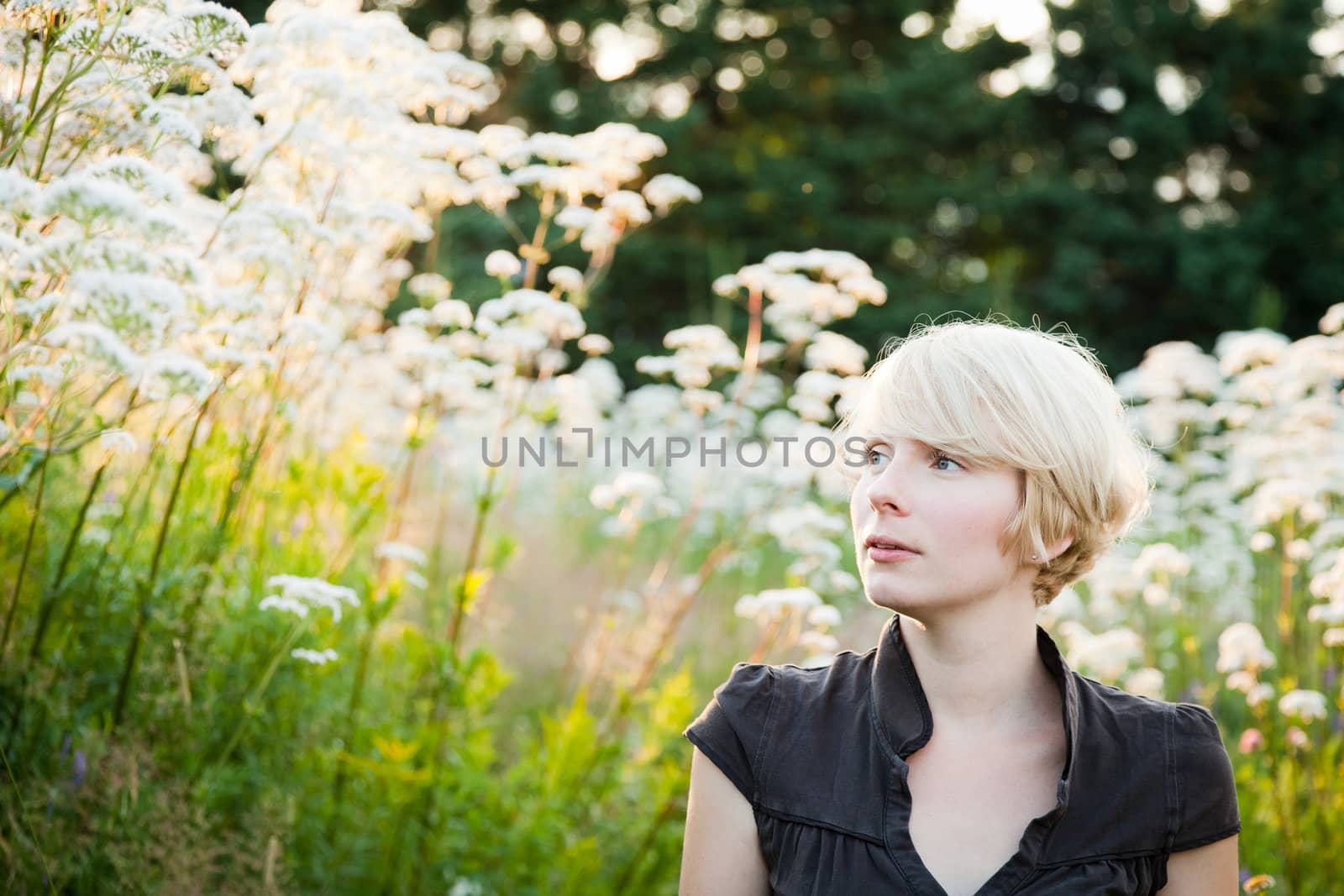 beautiful Girl in a field of white flowers