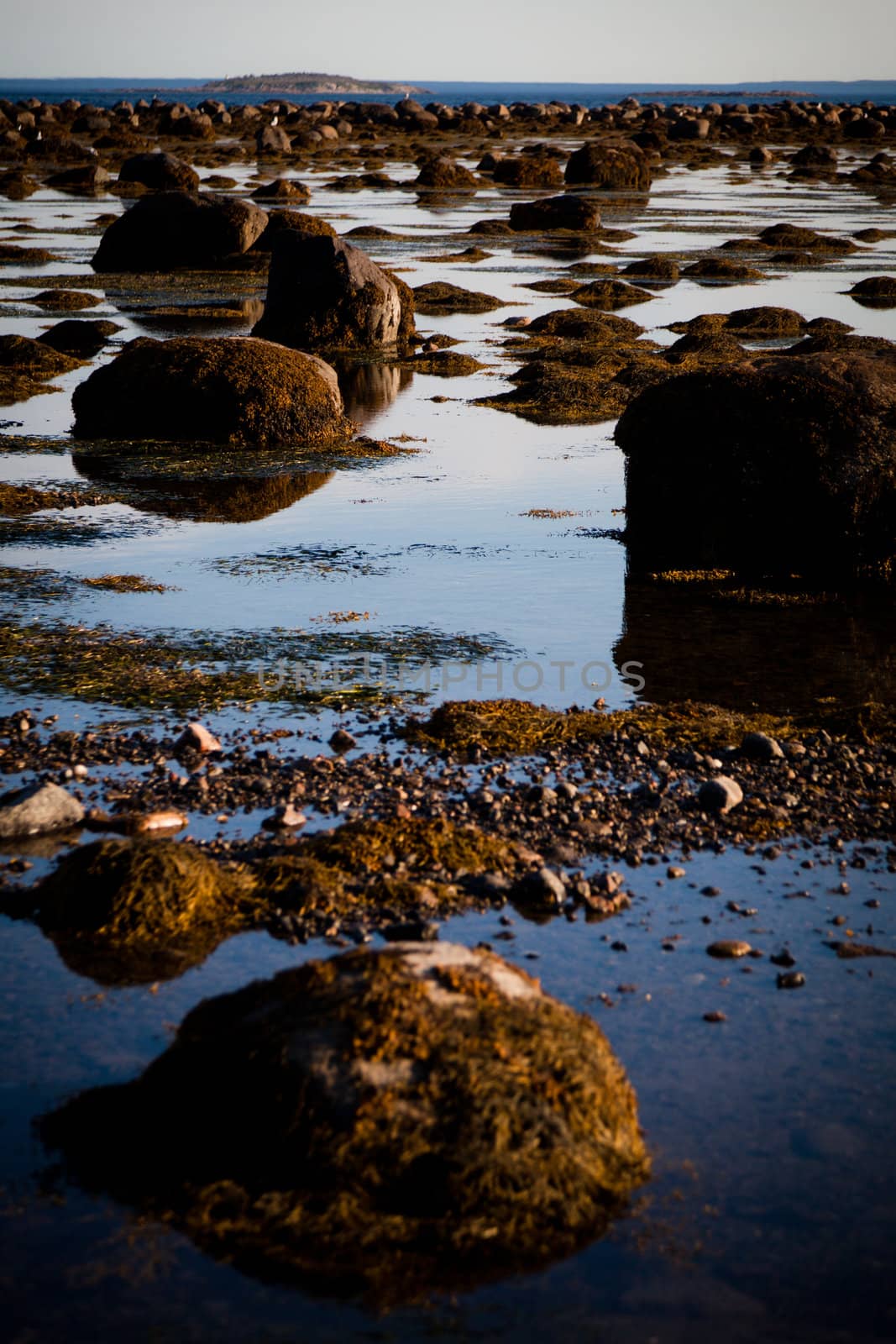 Stones in water - low tide